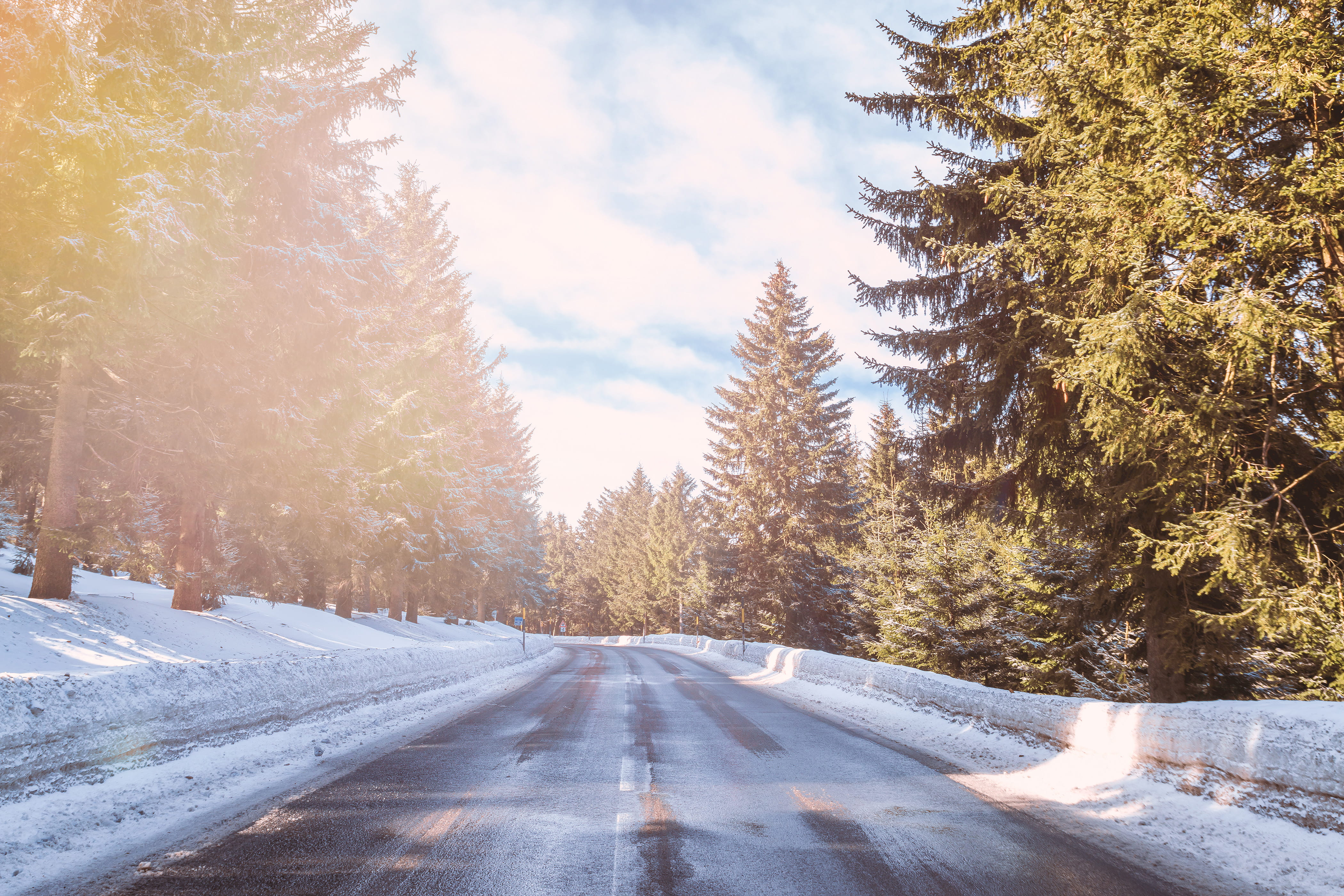 winter, tree, forest, diminishing perspective, weather, snowcapped mountain, road, 4K, beauty in nature, pine tree, plant, growth, the way forward, direction, HD Wallpaper