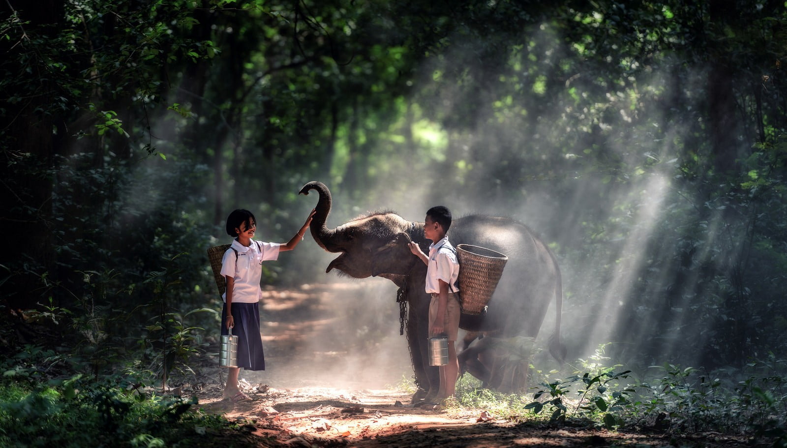 pathway, land, baby, tree, outdoors, standing, childhood, girl, 720P, full length, Thailand, day, two, boys, people, child, students, males, offspring, HD Wallpaper