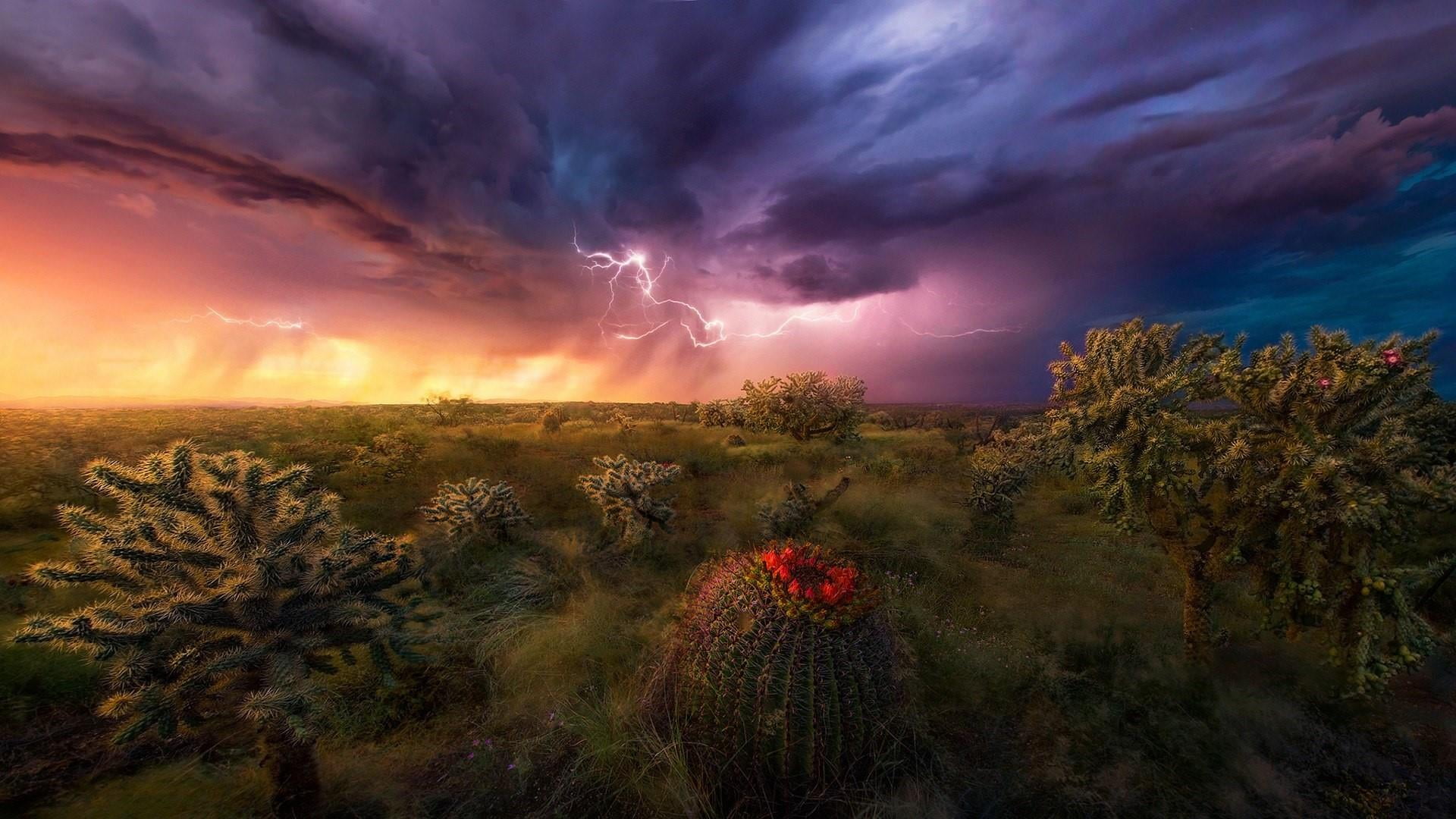 tree, no people, desert, horizon, outdoors, 1080P, dramatic sky, cloud - sky, evening, phenomenon, cloud, landscape, sky, cloudscape, lightning strikes, HD Wallpaper