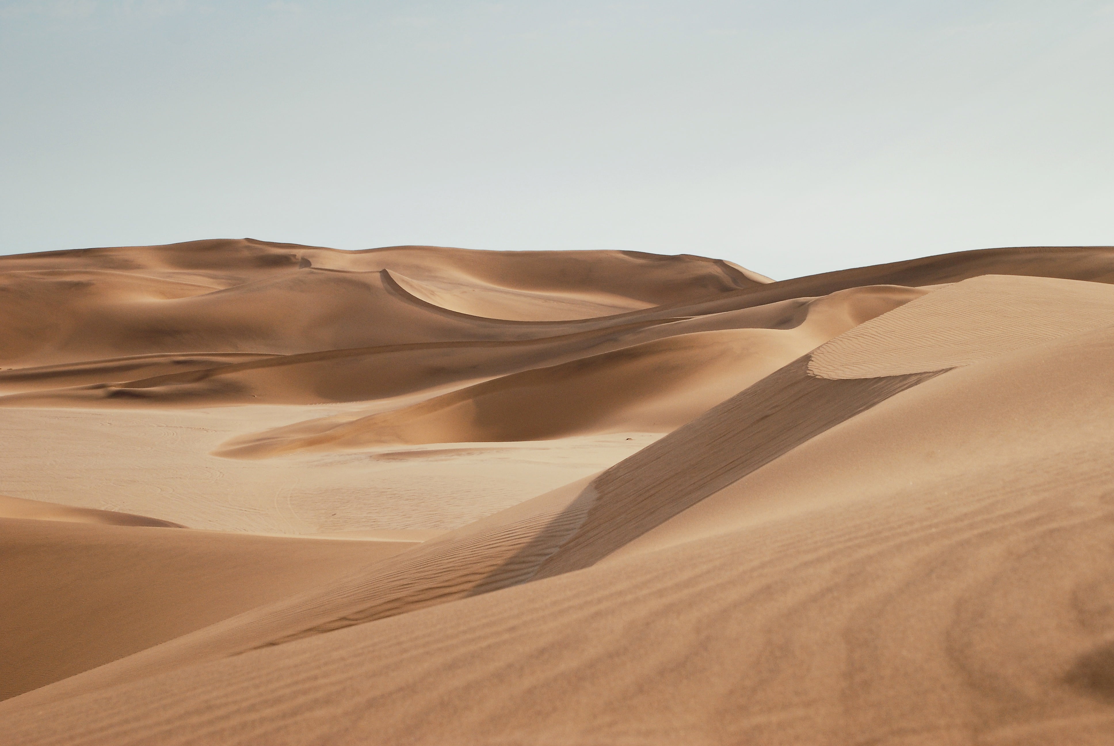 arid Climate, brown, sand Dune, outdoors, clear sky, land, wilderness Area, extreme Terrain, orange Color, scenics, 4K, erg Chebbi Dunes, sandy Brown, HD Wallpaper