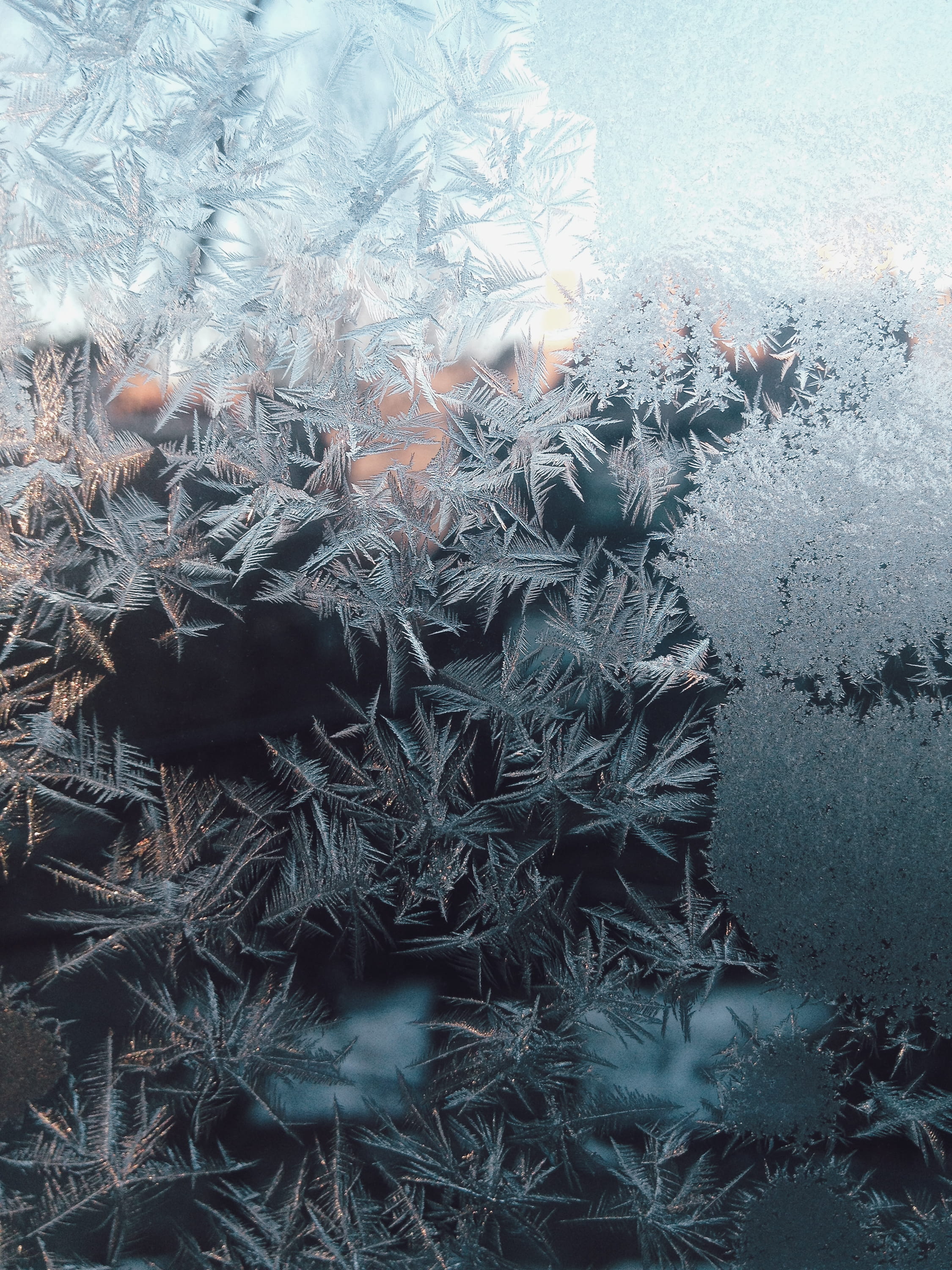 plant, flake, backgrounds, feather, full frame, snowflake, frost, ice, glass, tranquility, icicle, cold temperature, nature, digital composite, water, texture, Phone HD Wallpaper