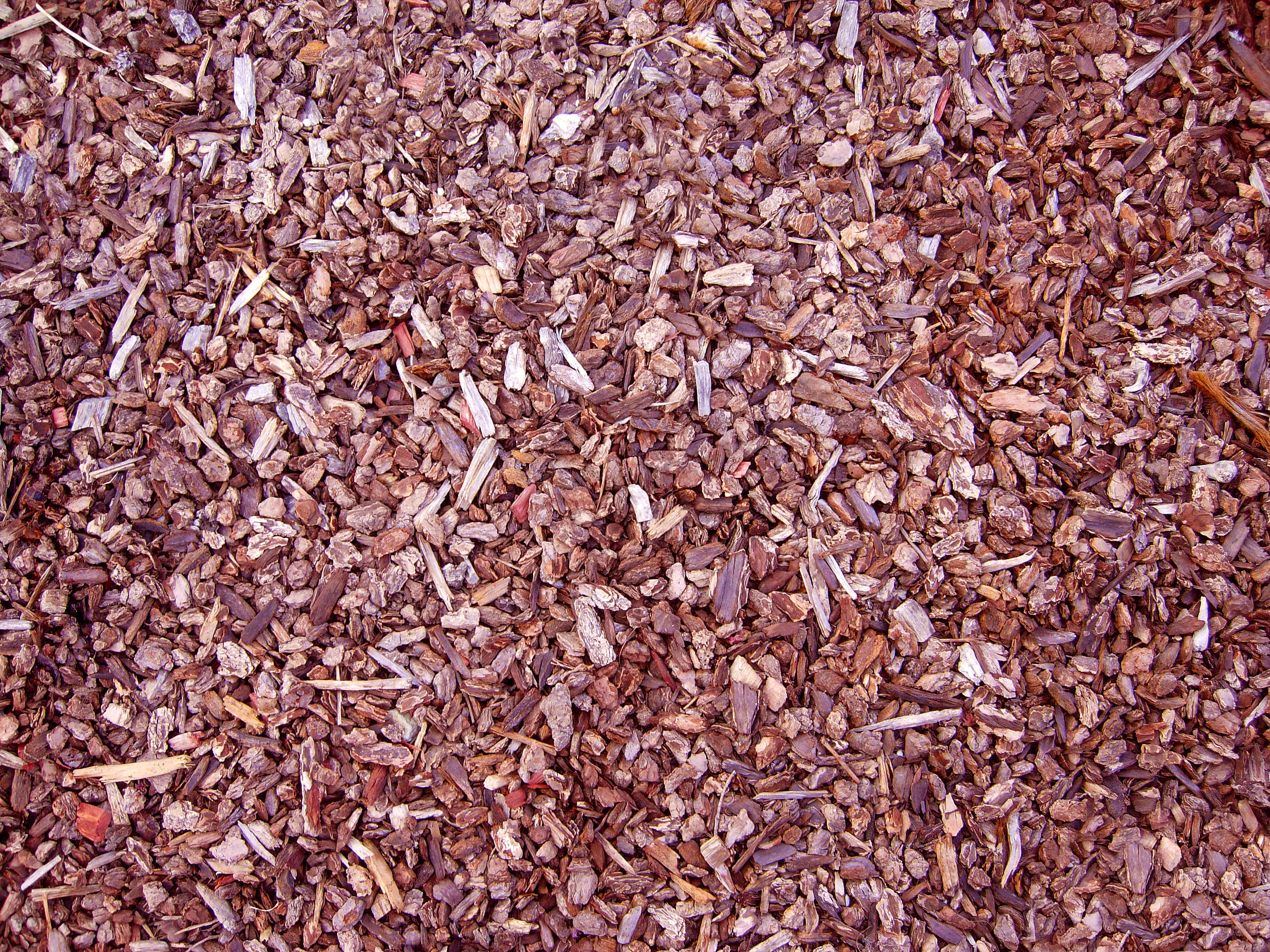 2K, full frame, pattern, food, brown, textured, still life, large group of objects, mulch, no people, close-up, day, abundance, backgrounds, directly above, HD Wallpaper