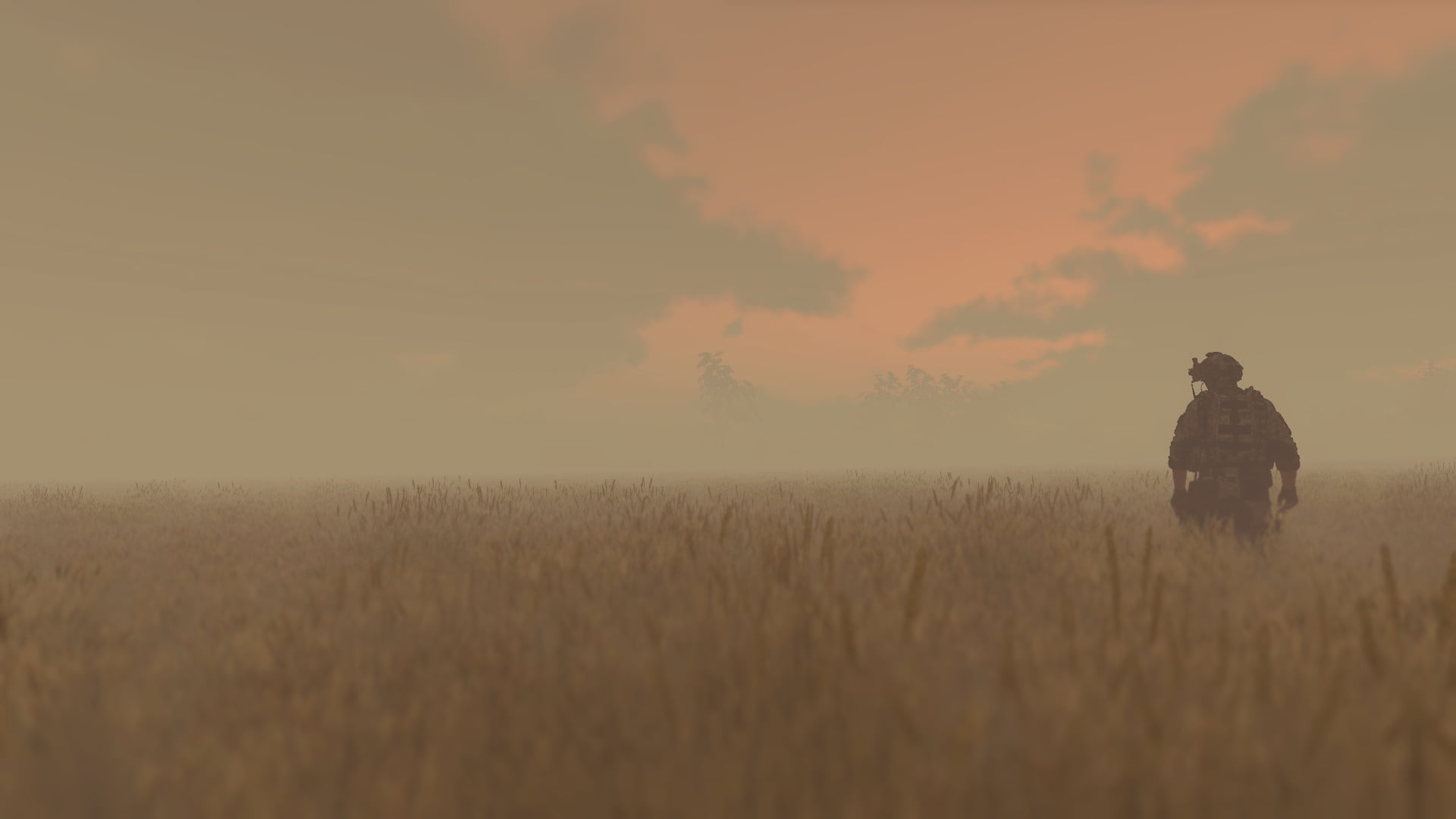Arma 3, ArmA III, 1080P, sandstorms, soldier, wheat, HD Wallpaper