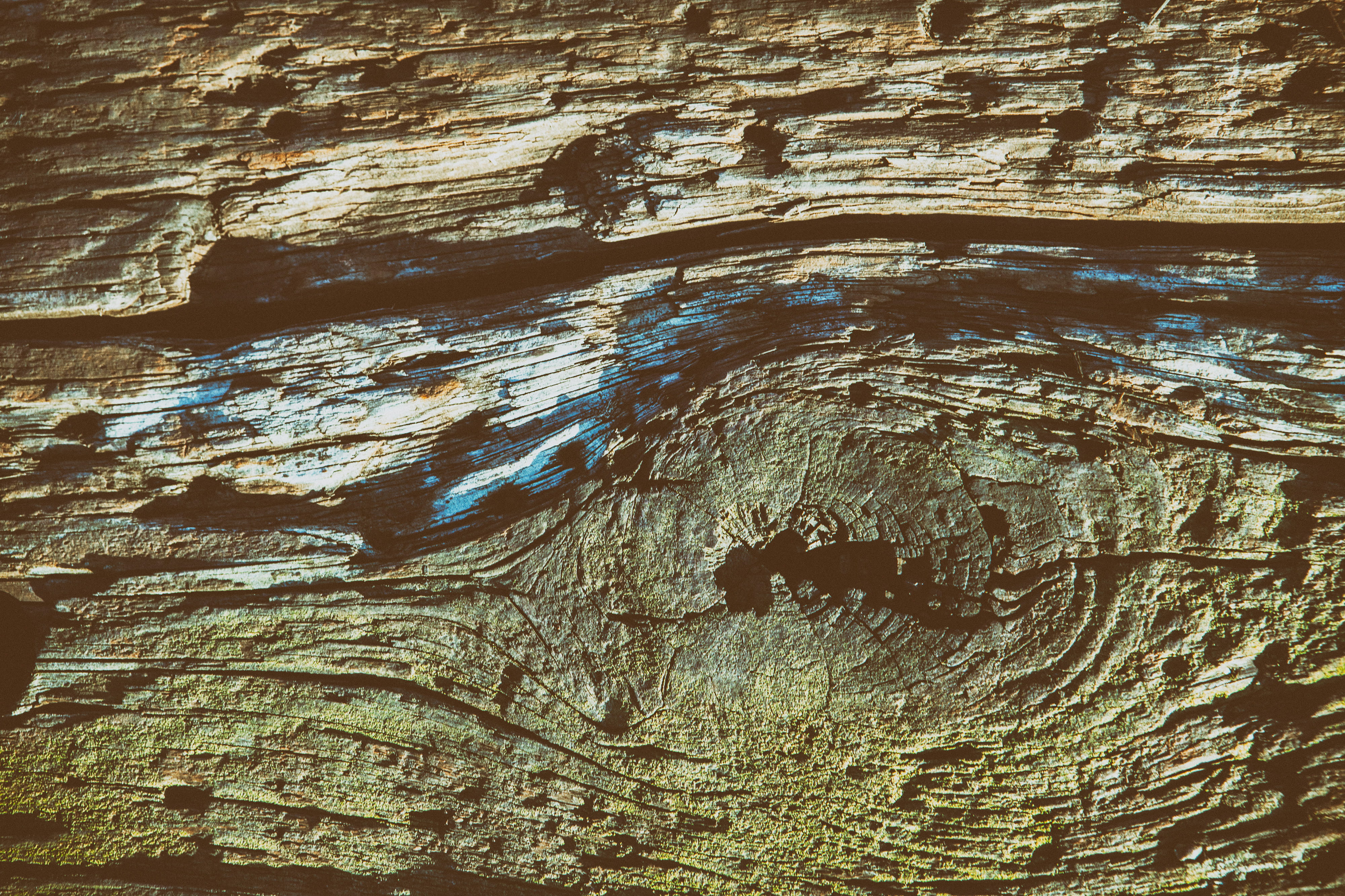 pattern, nature, no People, backgrounds, DSLR, close-up, image, Canon 5D, canon, 4K, old, brown, details, material, captured, old wood, texture, natural pattern, HD Wallpaper