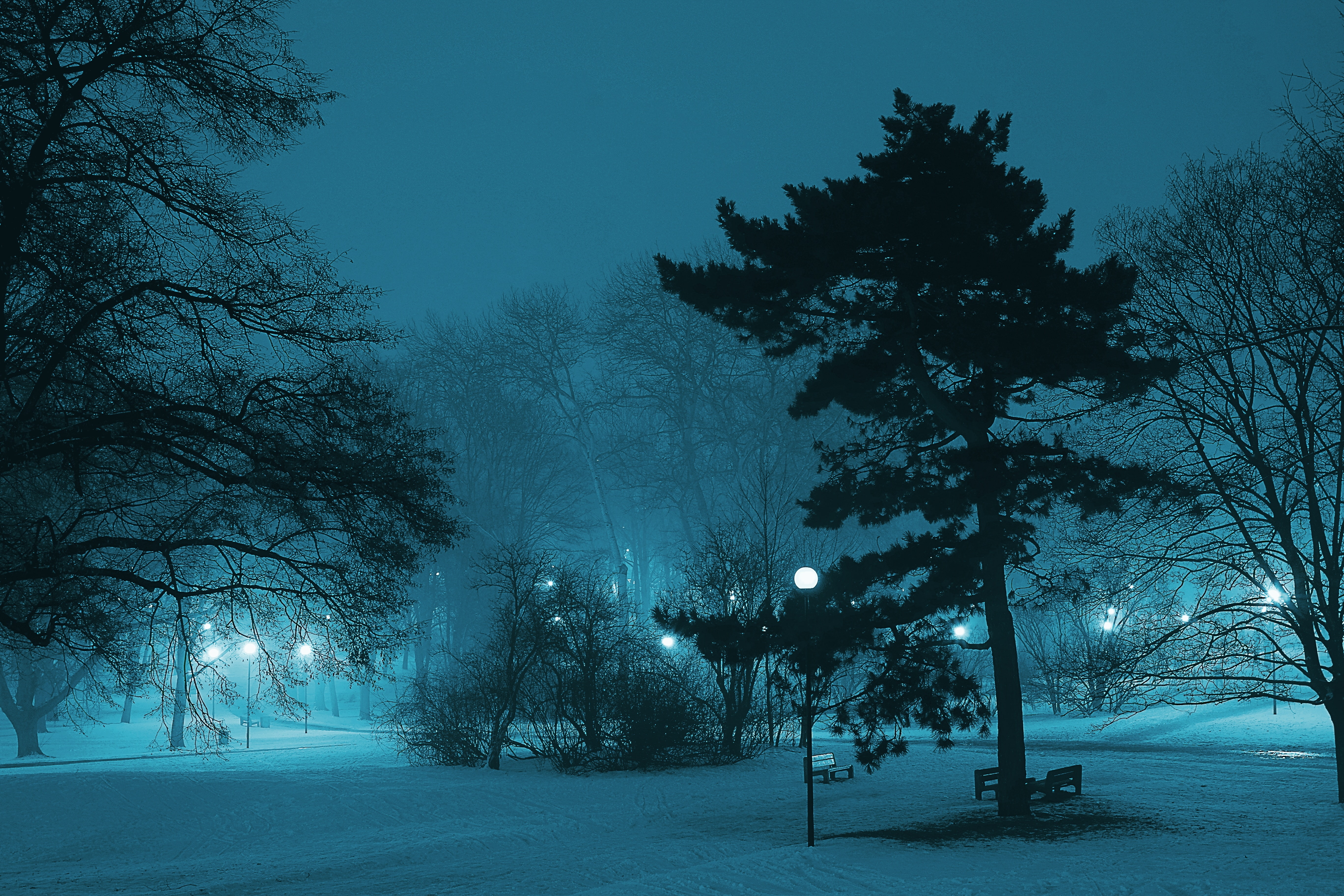 dawn, dark, snow, fog, branch, ice, winter, nature, frozen, atmosphere, season, foggy, 5K, silhouette, cold, pond, night, lamp, landscape, frost, light, HD Wallpaper