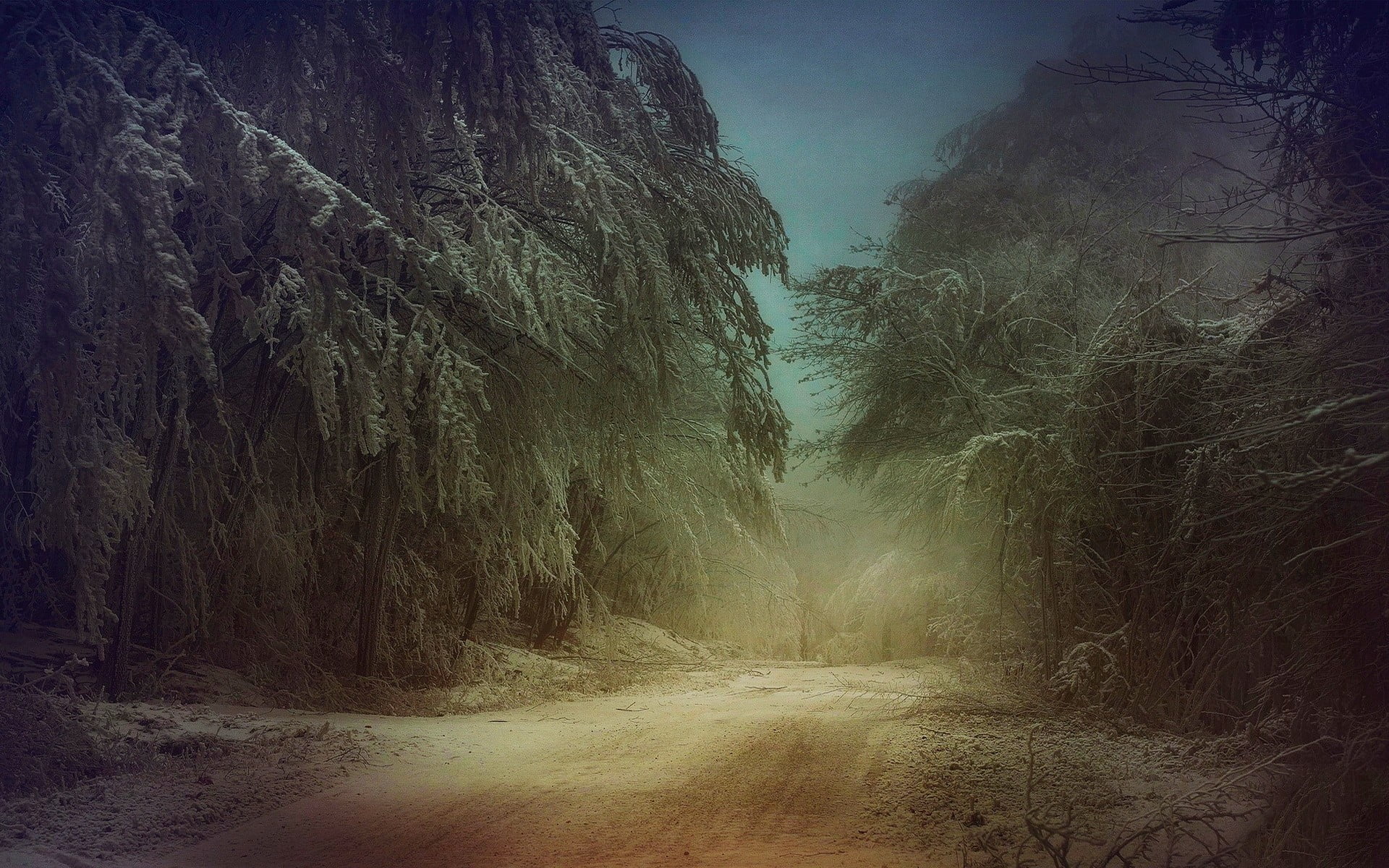 tranquility, landscape, plant, 1080P, trees, land, outdoors, tree, forest, road, dirt road, frost, dusk, fog, mist, snow, untitled, environment, cold, HD Wallpaper