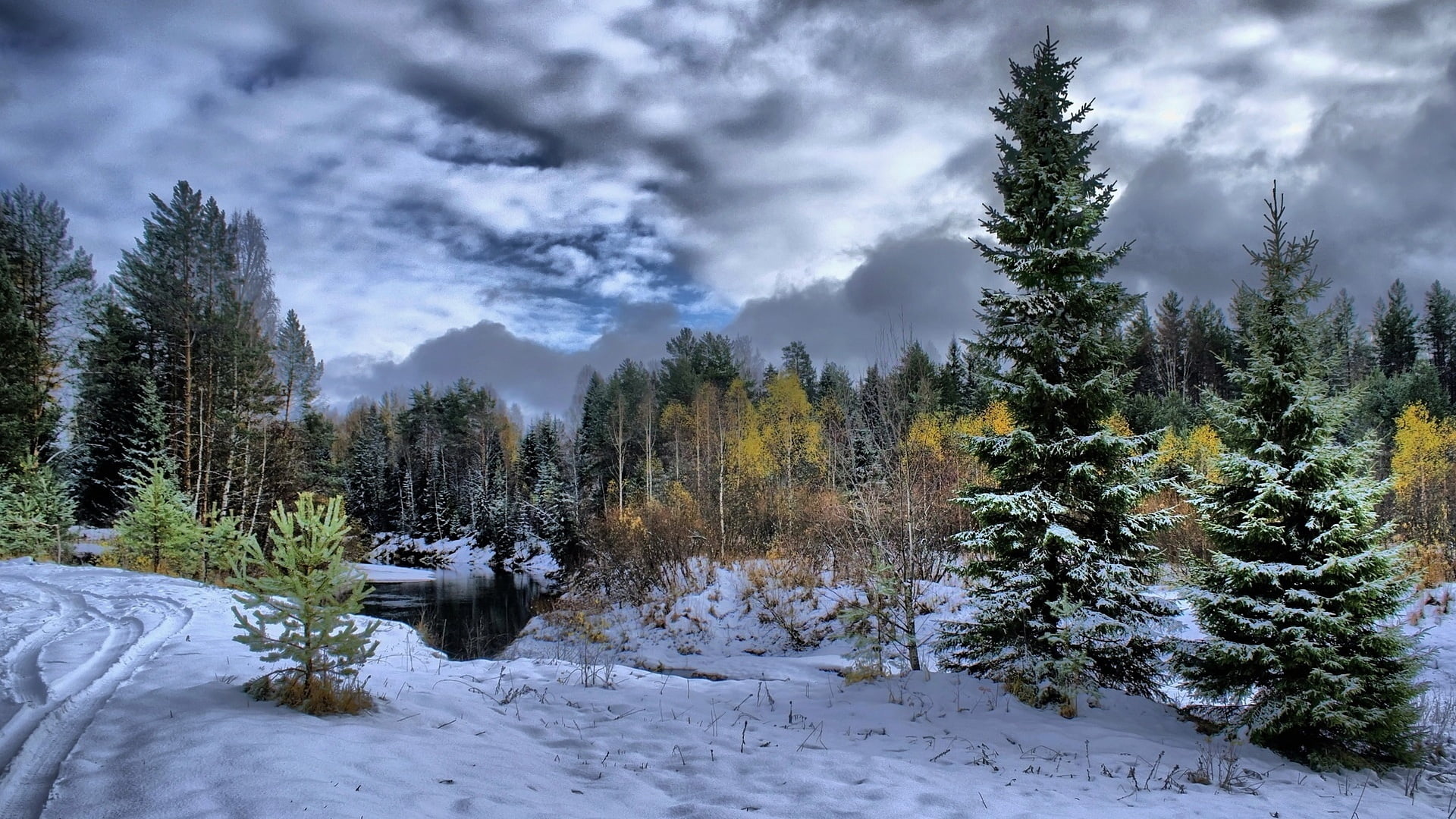 trees, clouds, tree, snowy, snow, growth, day, january, mountain, outdoor, vacation, rural, mountains, frost, cold temperature, scenics - nature, coniferous tree, HD Wallpaper
