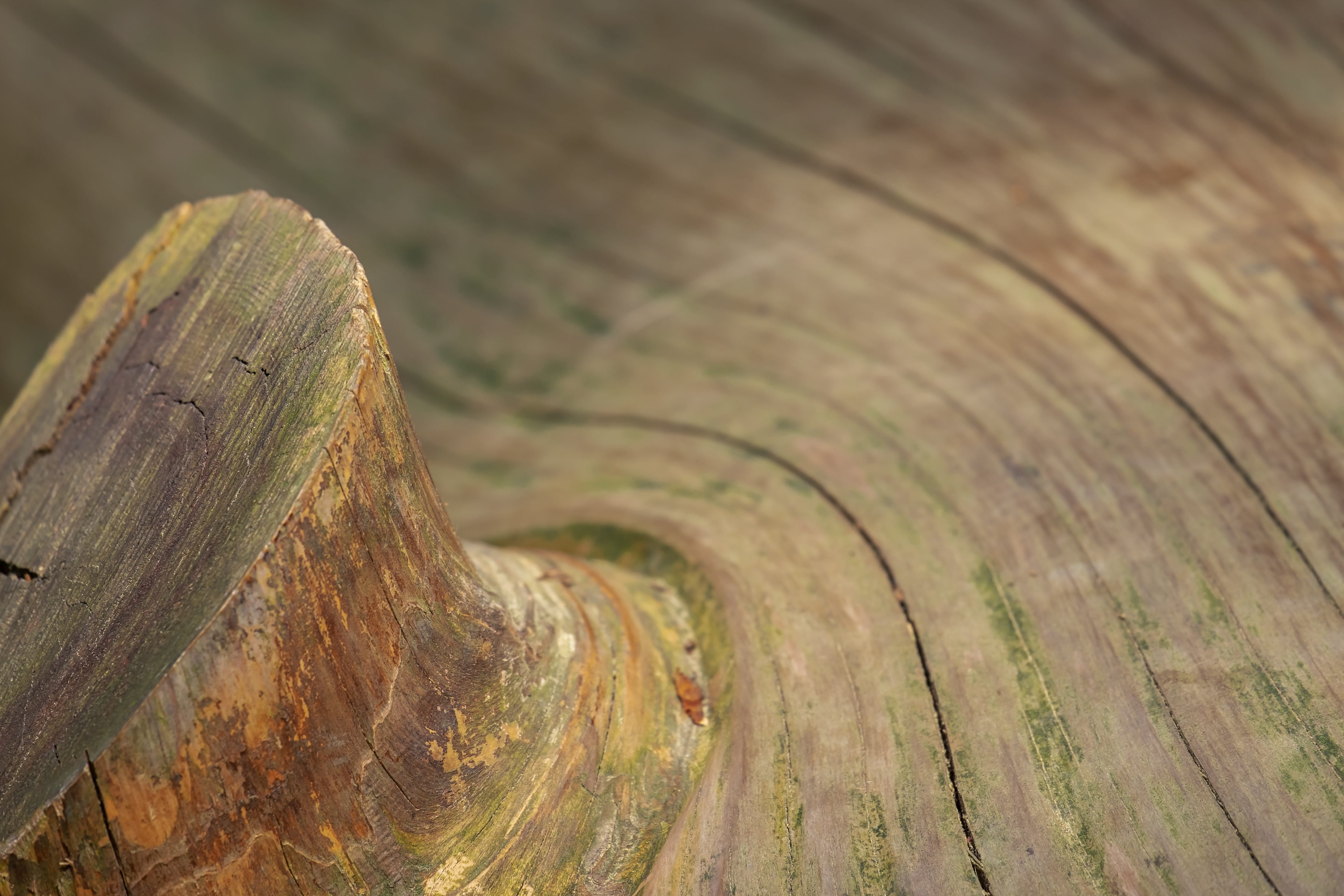 no people, tree ring, wood - material, old, texture, day, outdoors, metal, rough, wood, wooden, tree, damaged, brown, structure, plant, wood structures, HD Wallpaper