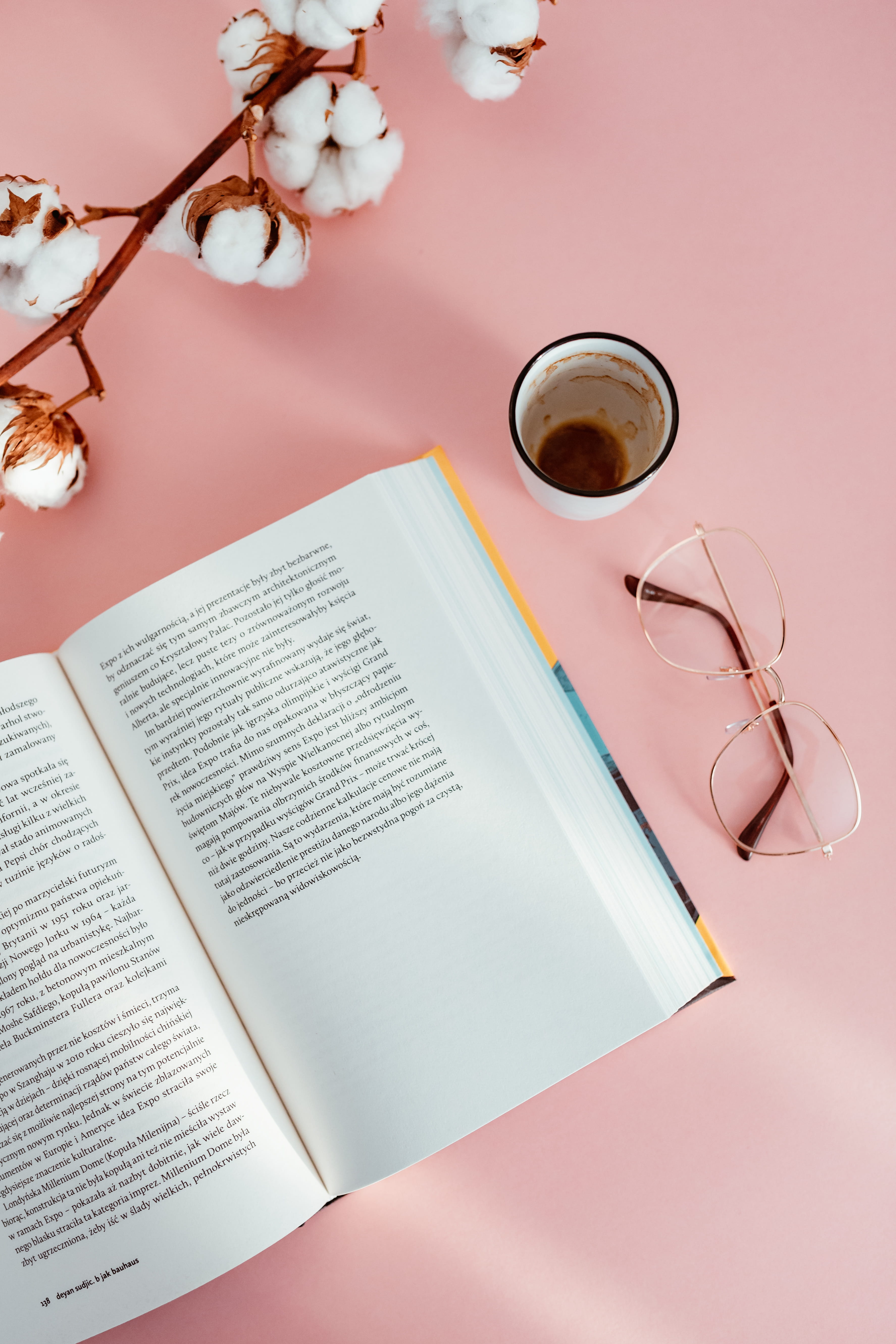 study, 5K, plant, mug, pink backgound, learning, publication, book, freshness, paper, no people, background, drink, refreshment, glass, feminine, still life, Phone HD Wallpaper