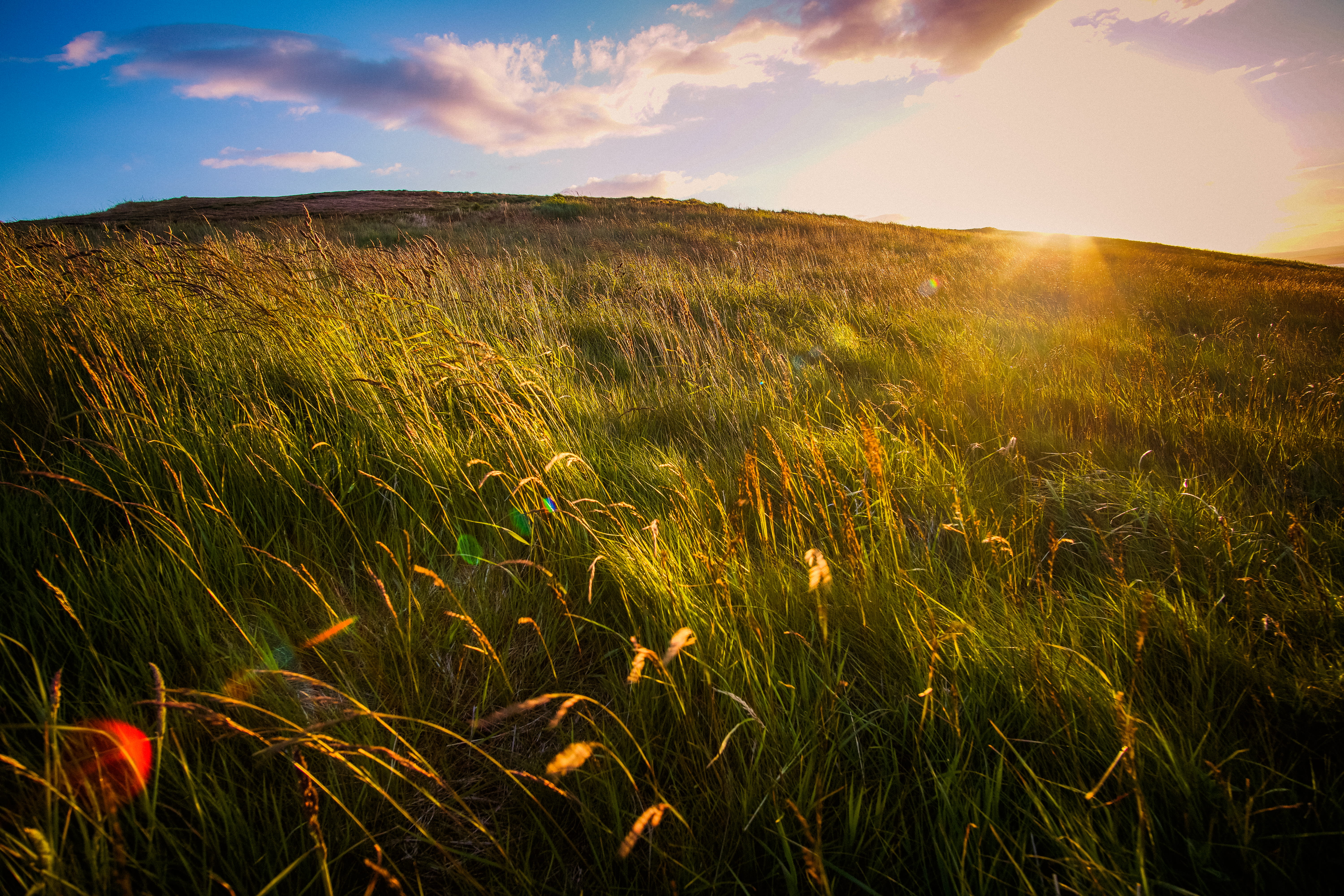 summer, green, cloud - sky, european, sun, nature, land, scotland, environment, landscape, landscapes, grass, tranquil scene, scenics - nature, plant, sunset, HD Wallpaper