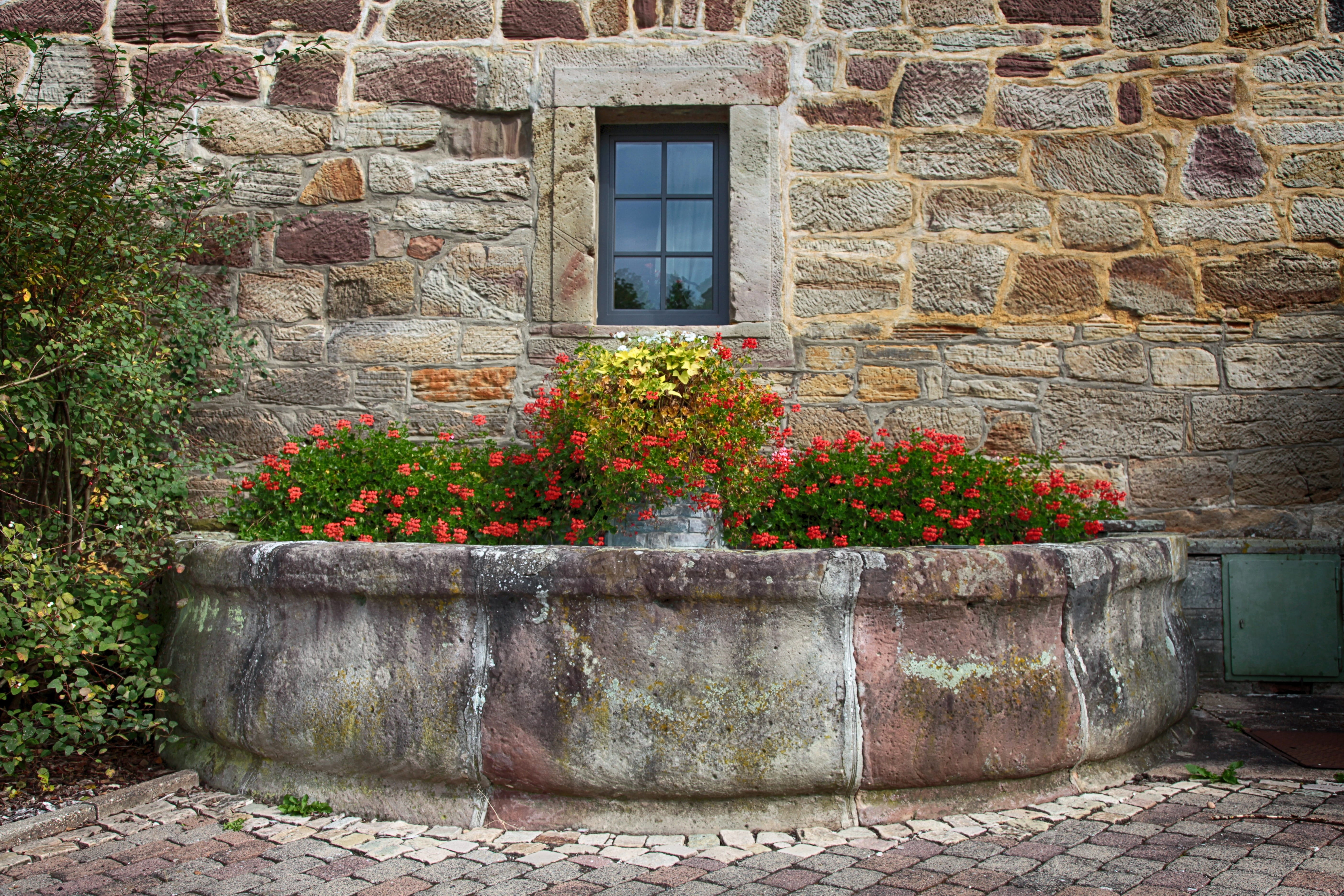 solid, growth, bloom, window, 5K, beside, red, trim, stone wall, building exterior, day, wall, natural stone, flower pot, brick, the past, building, old, HD Wallpaper
