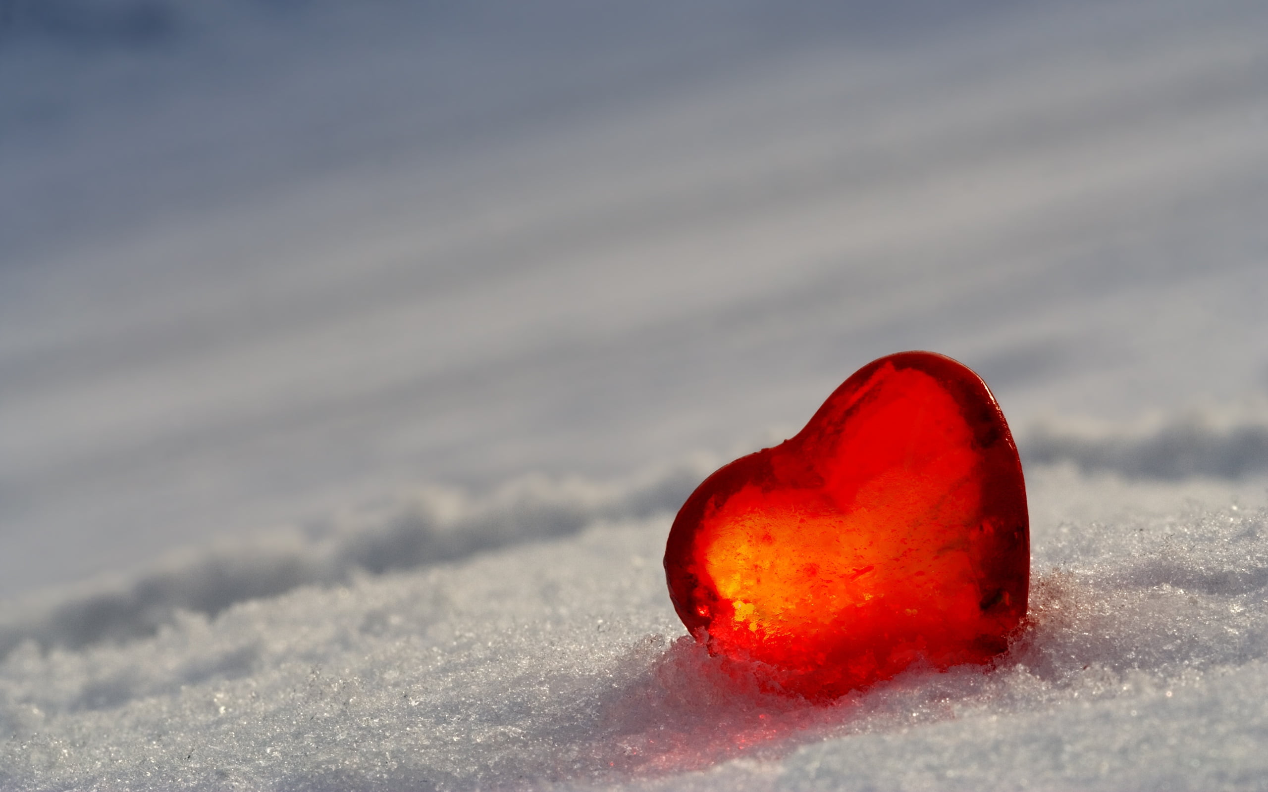 christmas, decoration, no People, heart, season, ornate, holidays And Celebrations, ice, february, red, christmas Decoration, man made object, love, white color, HD Wallpaper