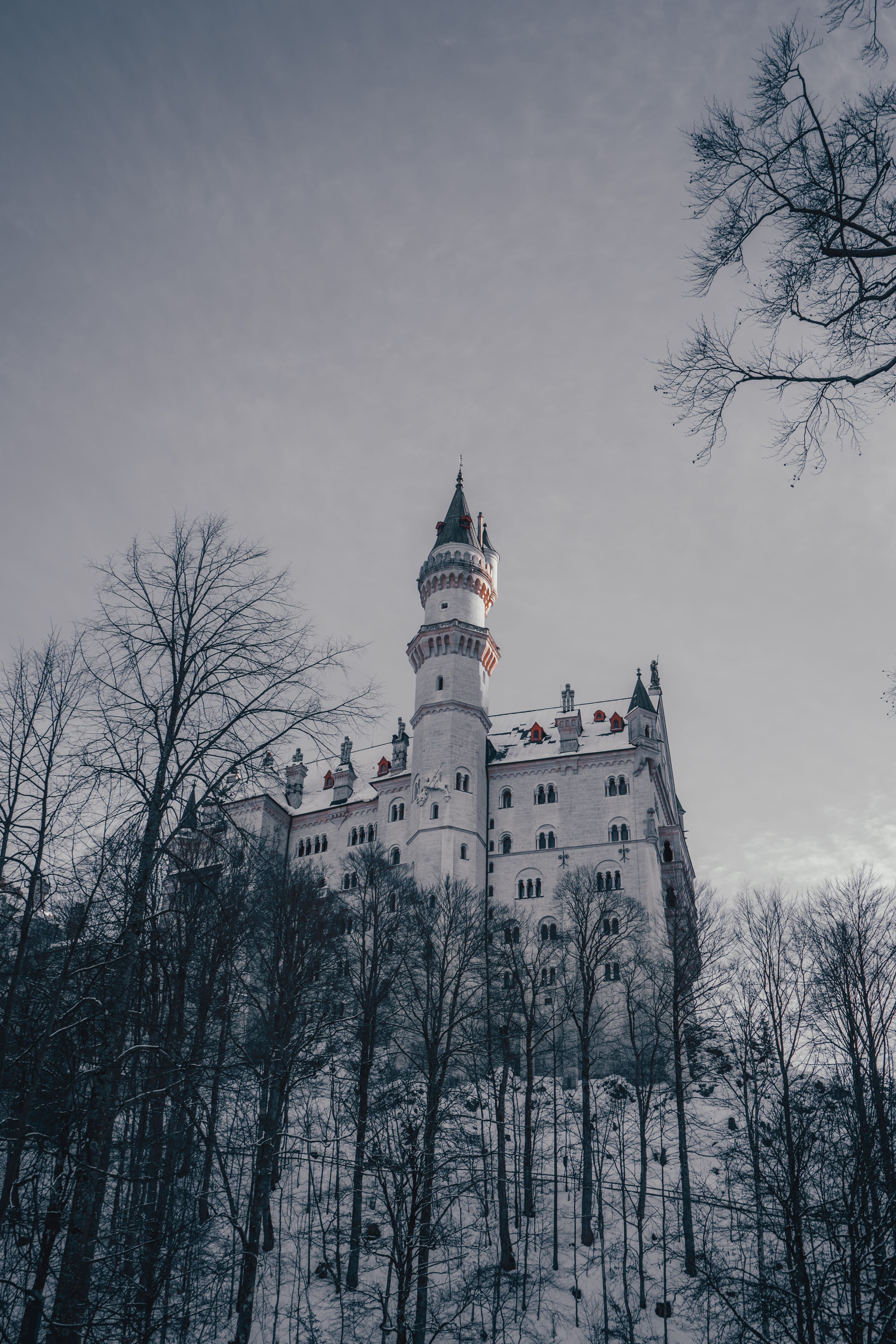 tower, scenic, 4K, trees, cold, spire, winter, outdoors, sight, snow, frozen, germany, the past, daylight, frost, history, munich, castle, building, sky, Phone HD Wallpaper