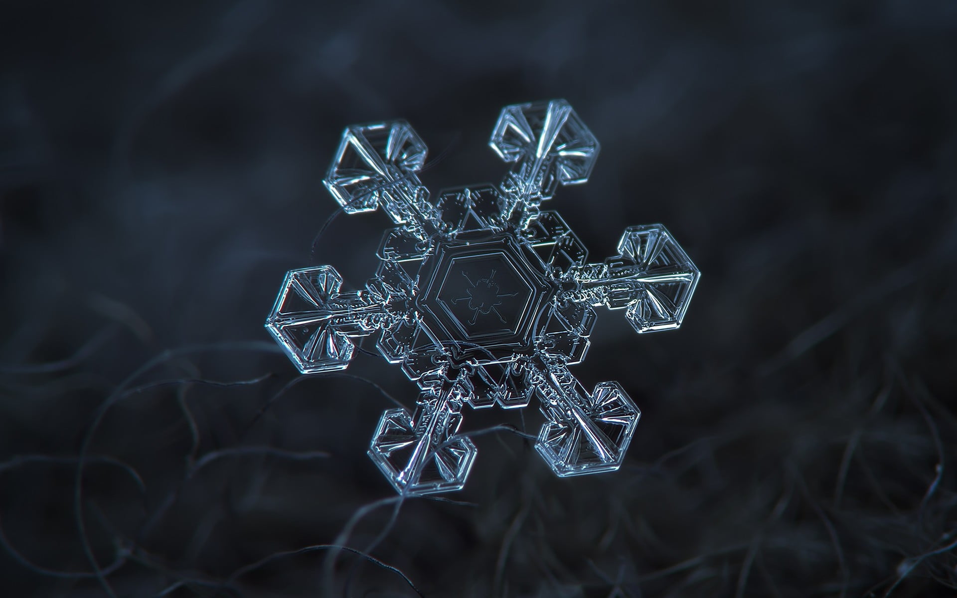 snowflakes, crystal, vulnerability, snowflake, fragility, pattern, silver, close-up, frozen, ice crystal, winter, focus on foreground, 1080P, snow, cold temperature, HD Wallpaper
