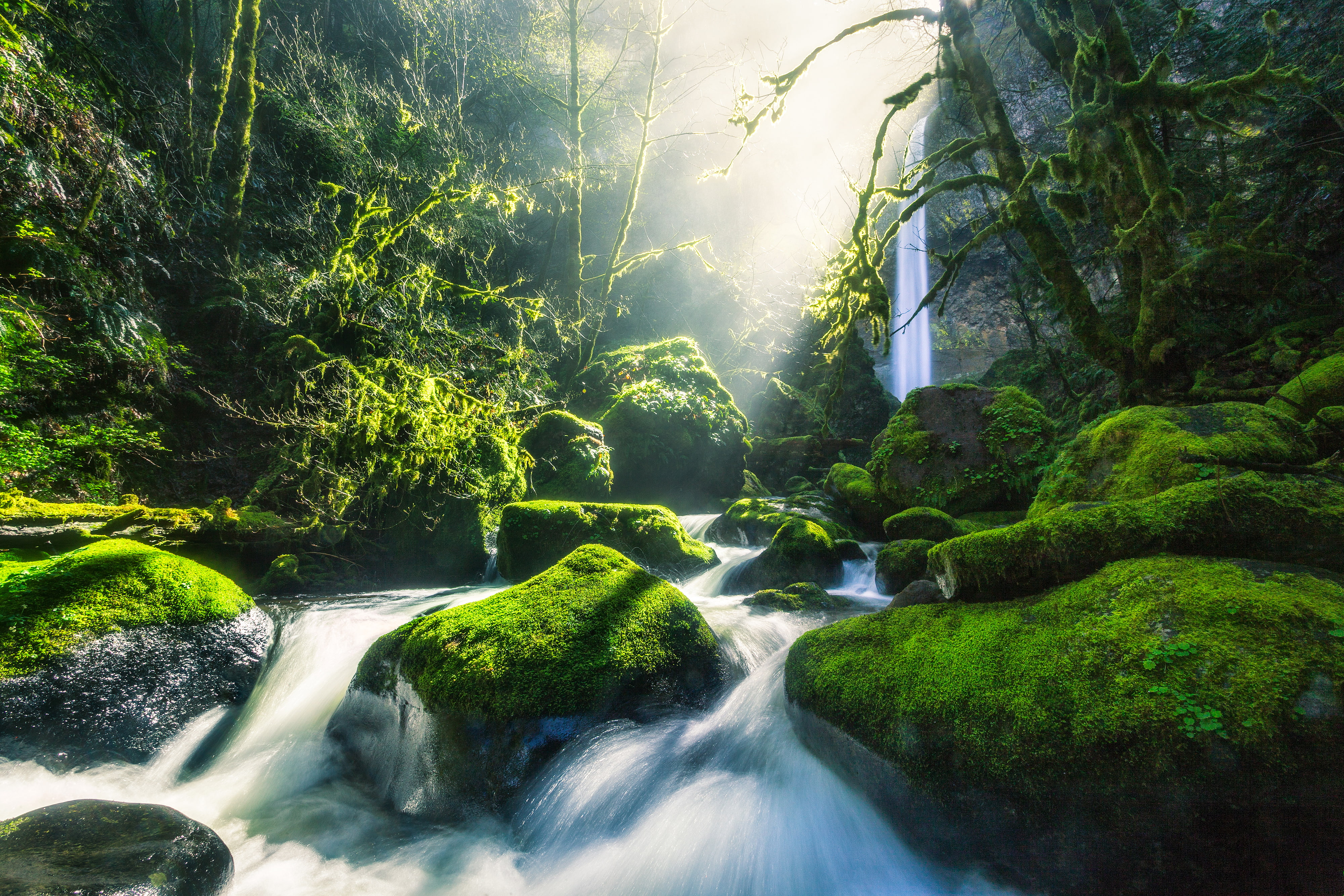 Waterfall, 4K, Elowah Falls, 4K, Stream, Columbia River Gorge, Forest, HD Wallpaper
