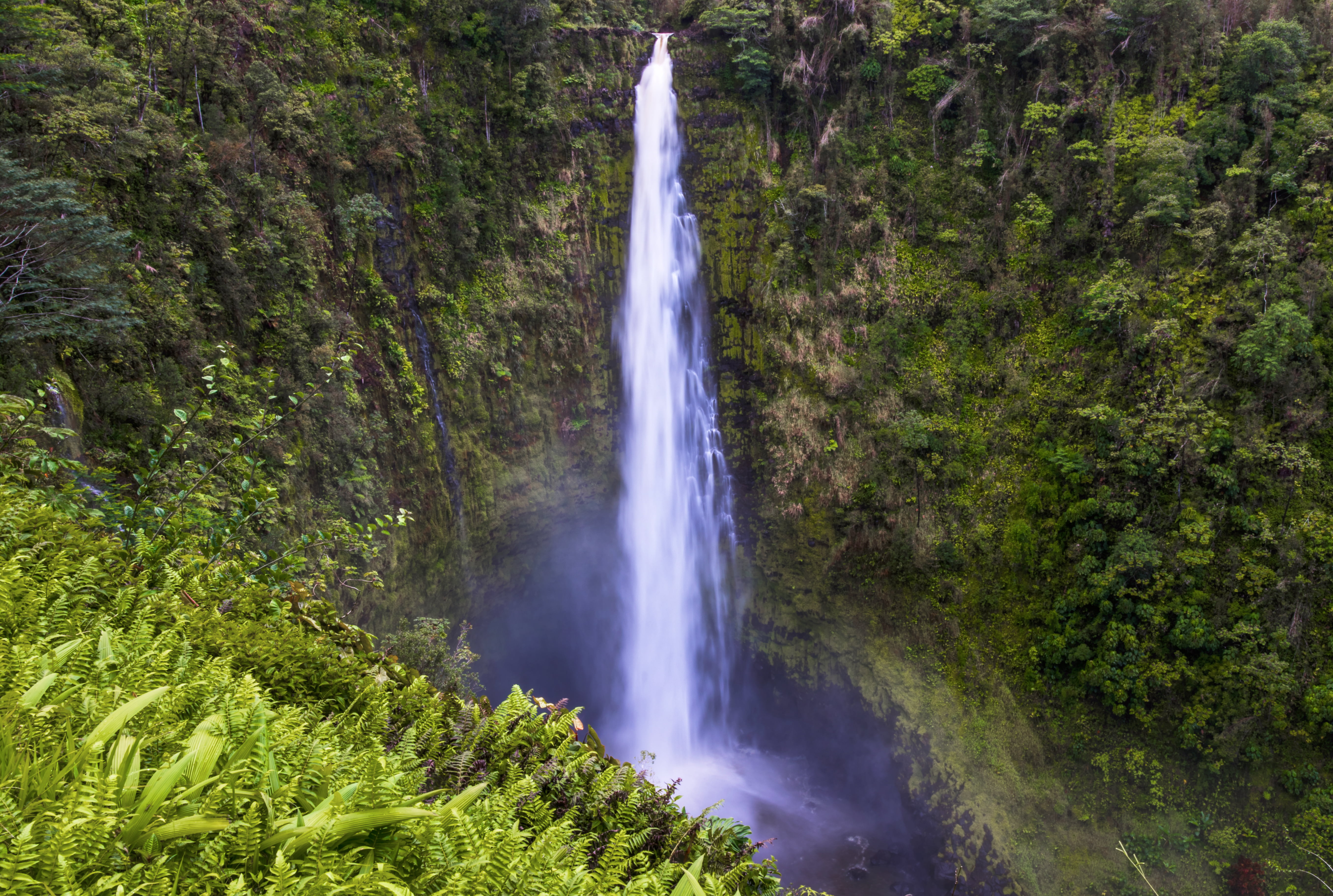 nature, 5K, photo, aerial, aerial photo, forest, water, daytime, river, landscape, waterfalls, Hawaii, gorge, stream, big  water, waterfall, outdoors, HD Wallpaper