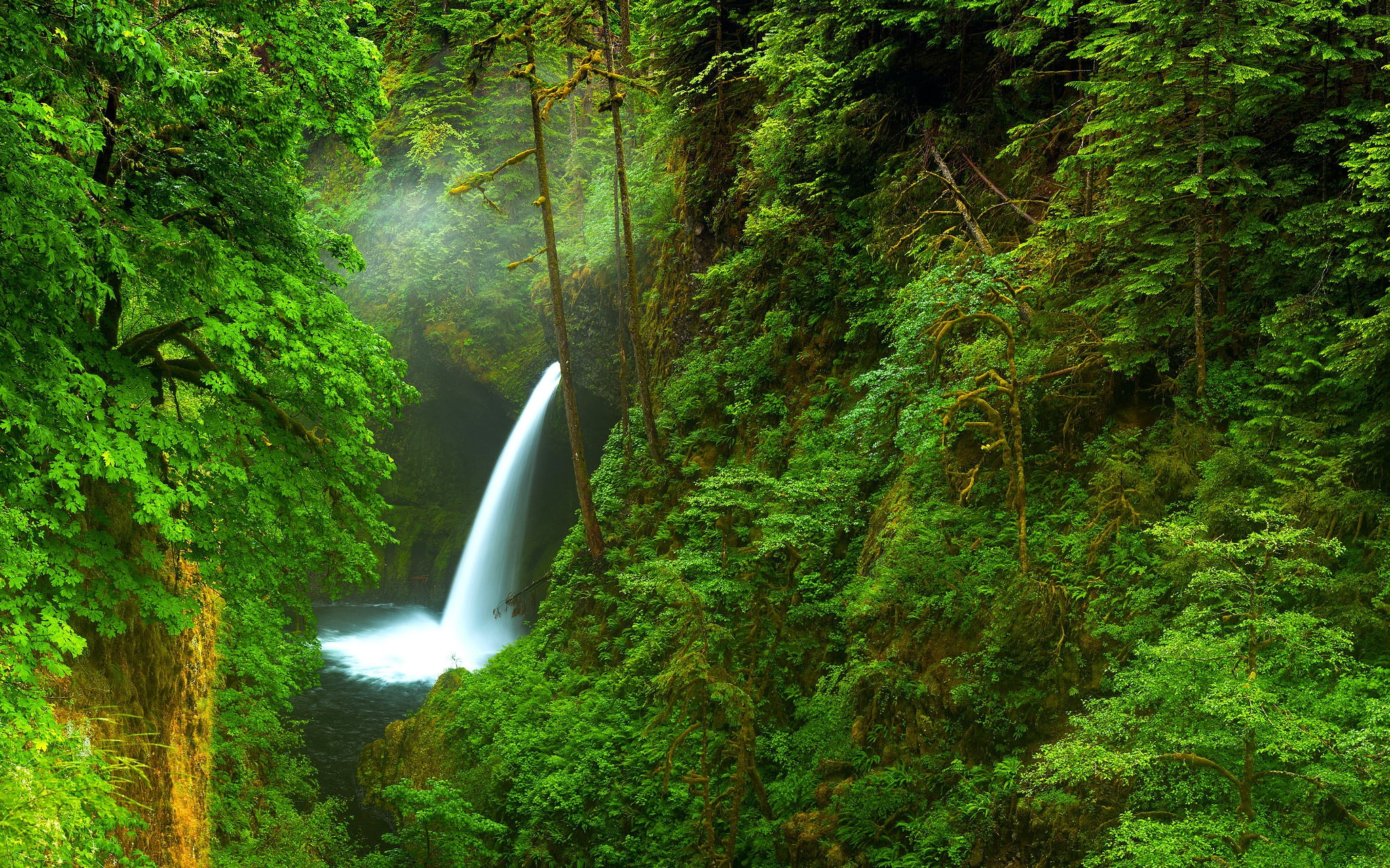 trees, 1080P, waterfall, Oregon, river, forest, USA, Nature, gorge, HD Wallpaper