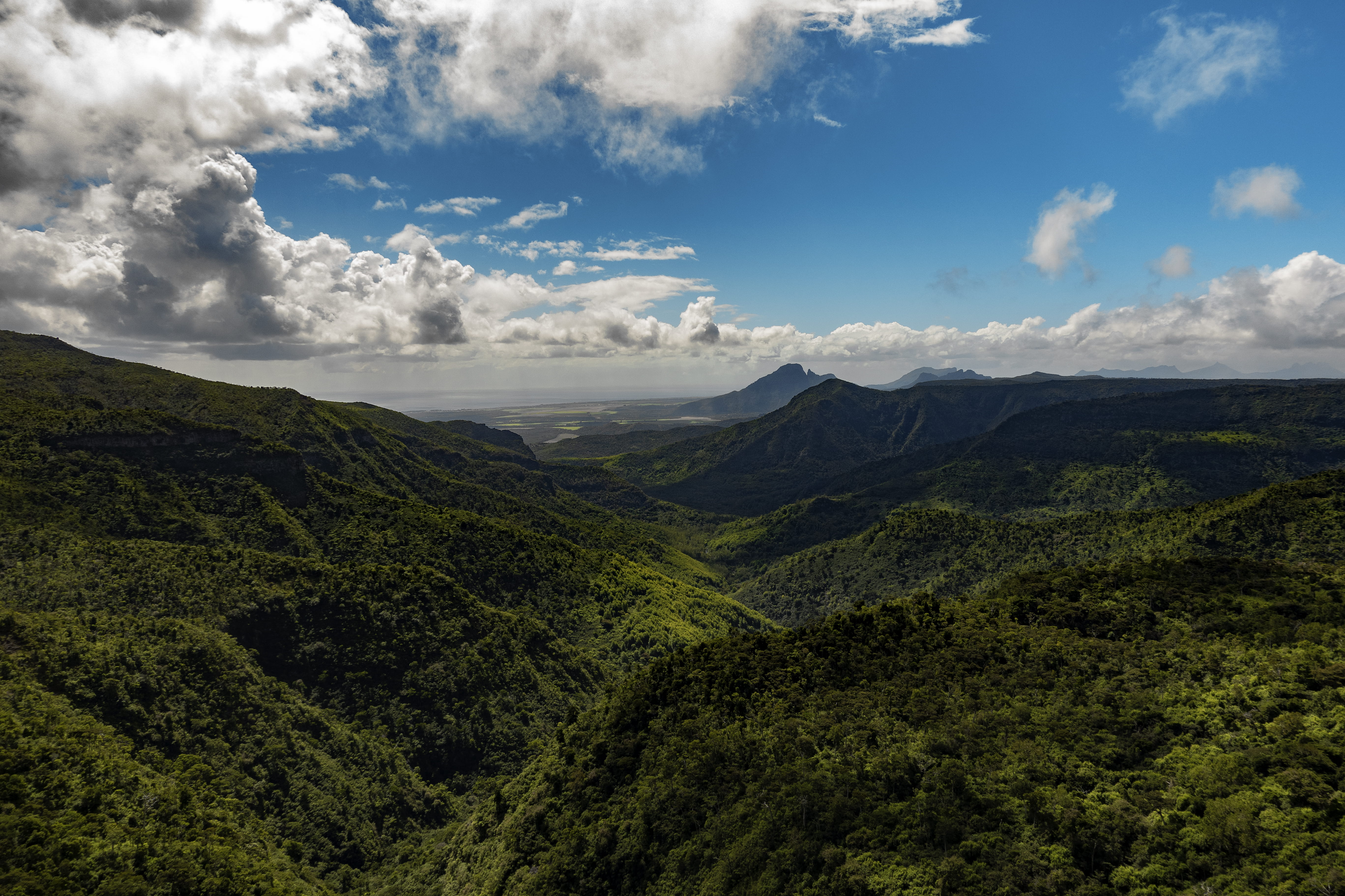 wood, mountain, shadow, fog, 5K, green, black river gorges national park, beauty in nature, tranquility, outdoors, mountain range, tranquil scene, horizon, HD Wallpaper