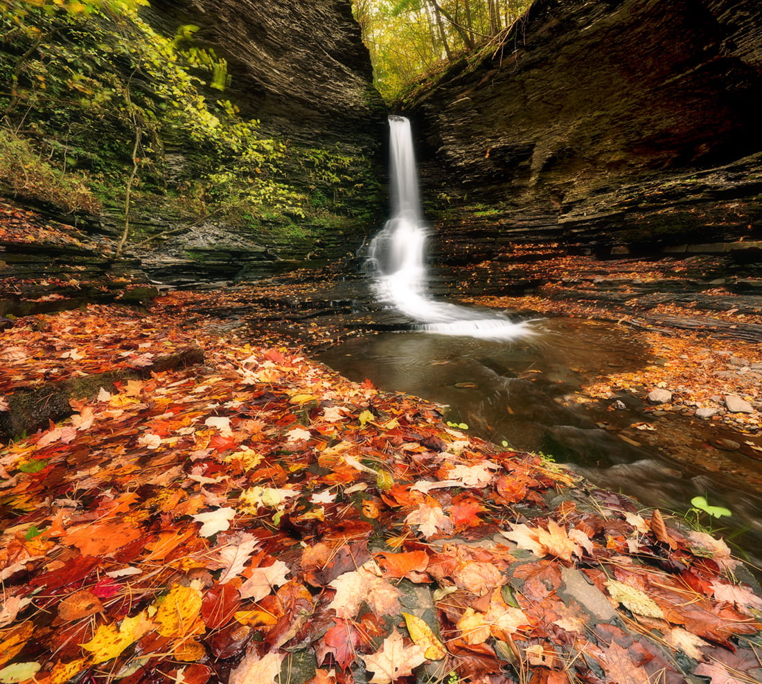 season, beauty In Nature, rock - Object, scenics, leaf, rock, Waterfalls, falls, water, Glen Falls, Finger Lakes, forest, Leaves, 480P, Ansari, formation, HD Wallpaper