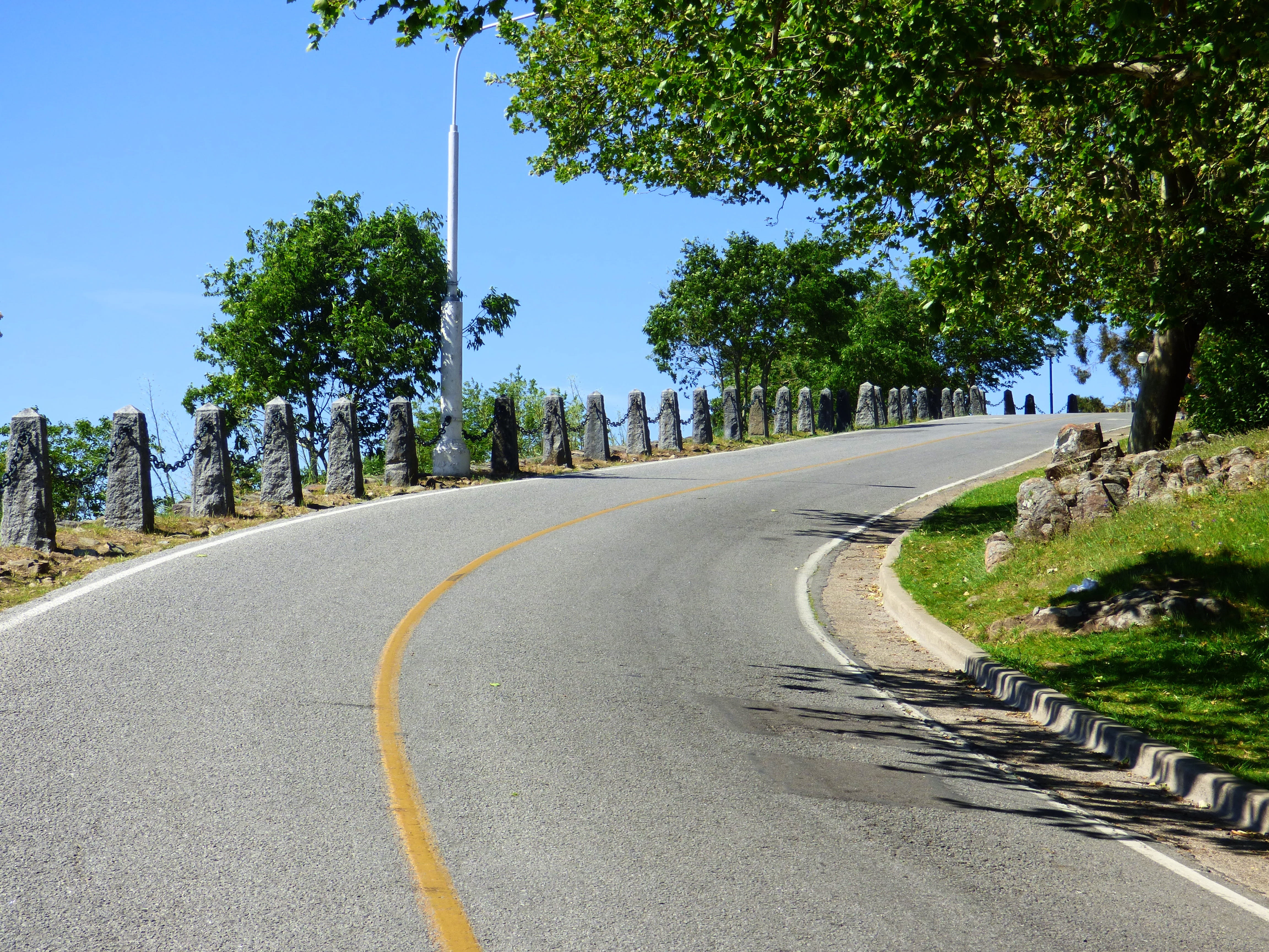 transportation, road marking, tree, plant, long, asphalt, direction, Steep, steep path, road, up hill, growth, symbol, green color, the way forward, nature, HD Wallpaper