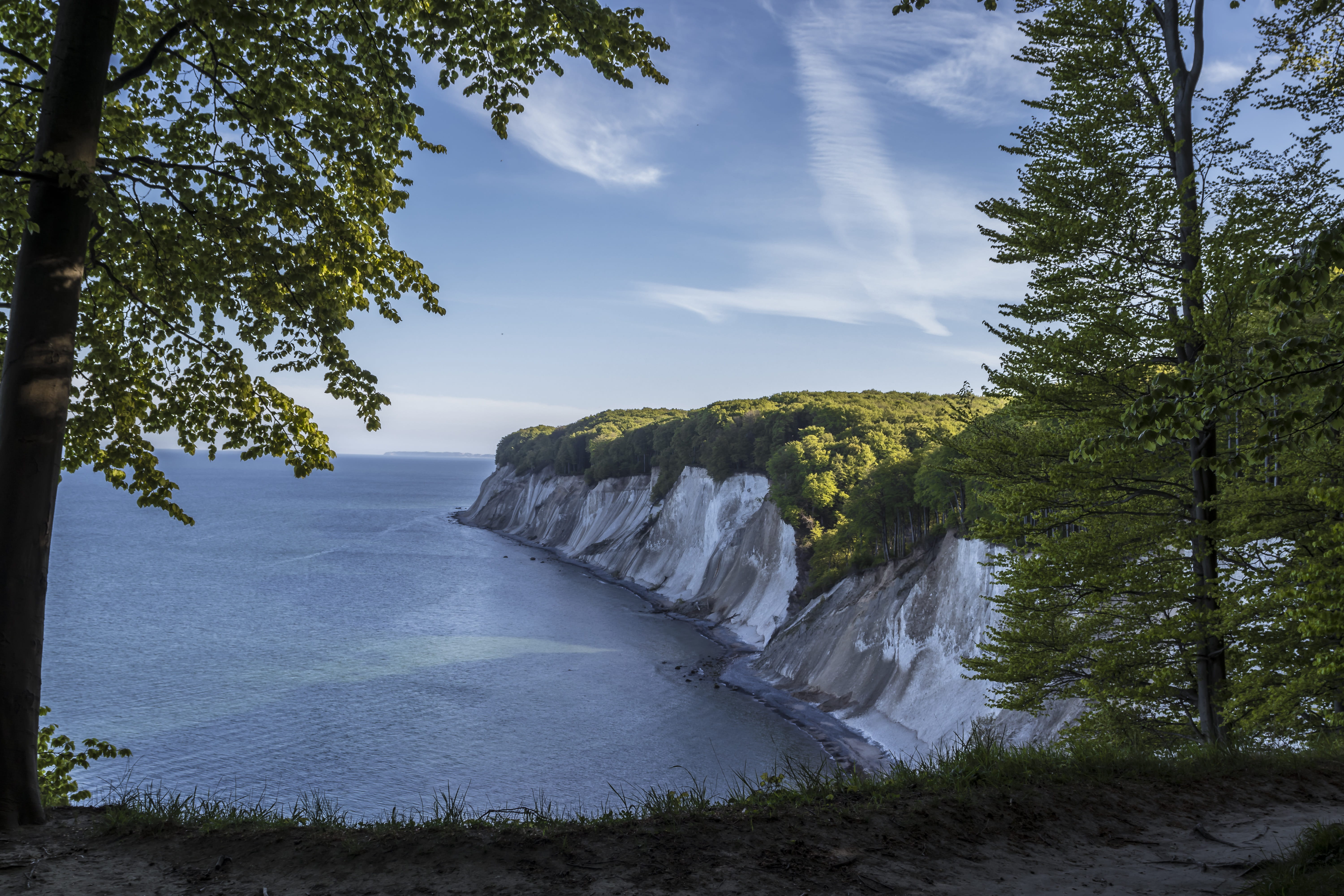 cliff, no people, 5K, water, cliffs, tree, jasmund, cloud - sky, landscape, idyllic, day, sea, rügen, plant, rocky, flowing, land, rügen island, baltic sea, HD Wallpaper