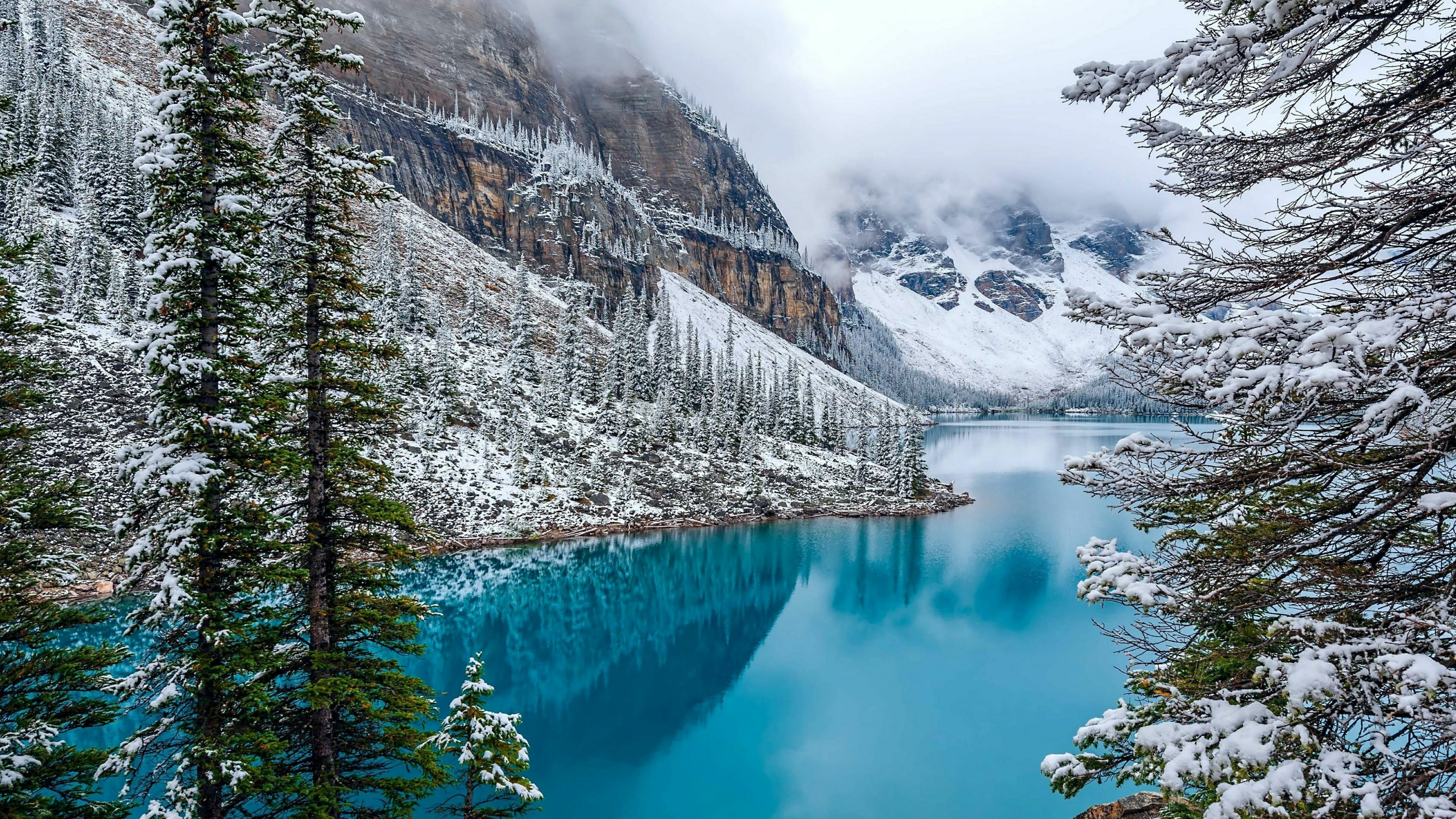 national park, tranquil scene, day, pine tree, cold temperature, forest, tarn, lake, sky, power in nature, nature, valley, outdoors, reflection, non-urban scene, HD Wallpaper
