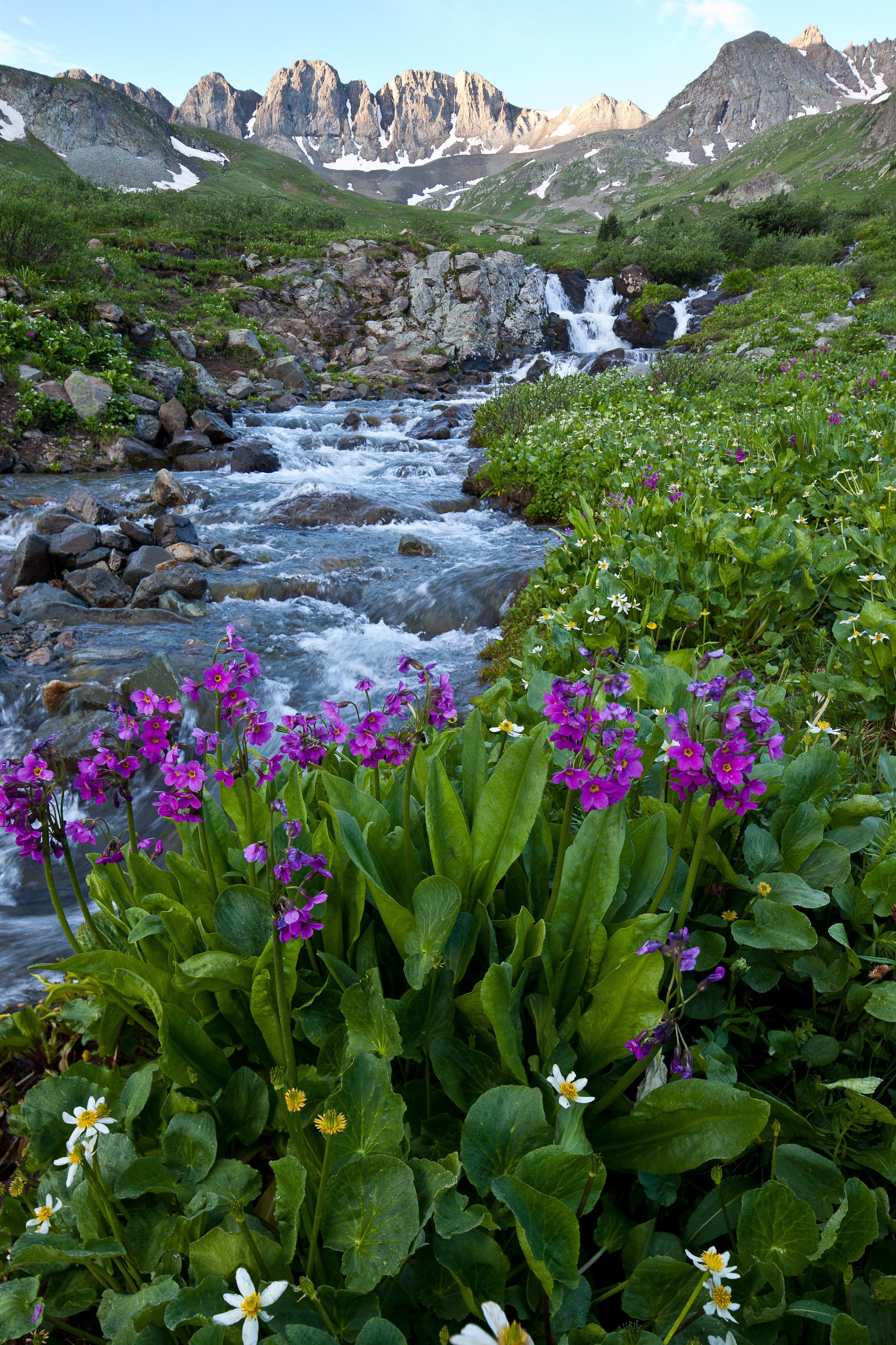 outdoors, conservation, lands, 5K, Basin, national, American, nature, green, mountain, landscape, scenics, lake, plants, BLM, WSA, wilderness study area, Phone HD Wallpaper