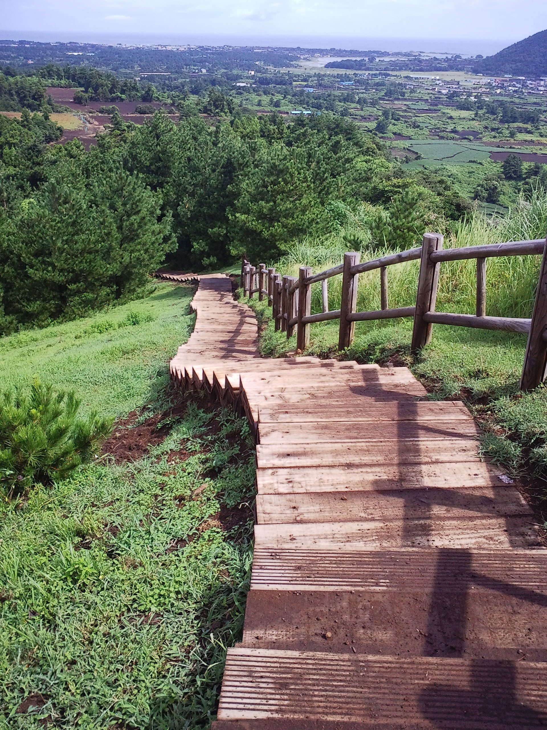 jeju sea, staircase, olle gill, nature, environment, tranquil scene, plant, tranquility, wood road, wood - material, jeju island, tabitha, vacation, grass, Phone HD Wallpaper