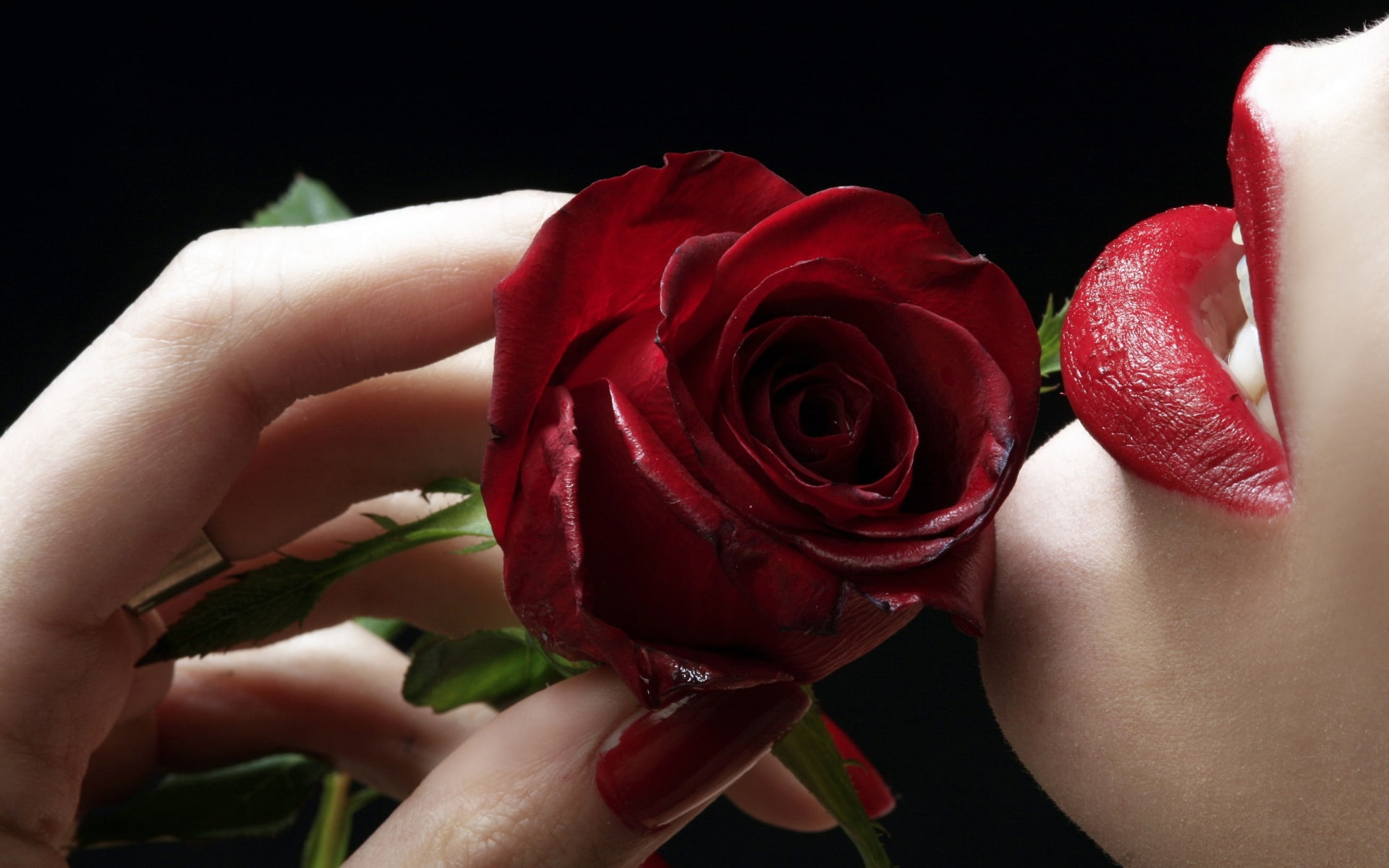 rose, lips, 1080P, red, amp, HD Wallpaper