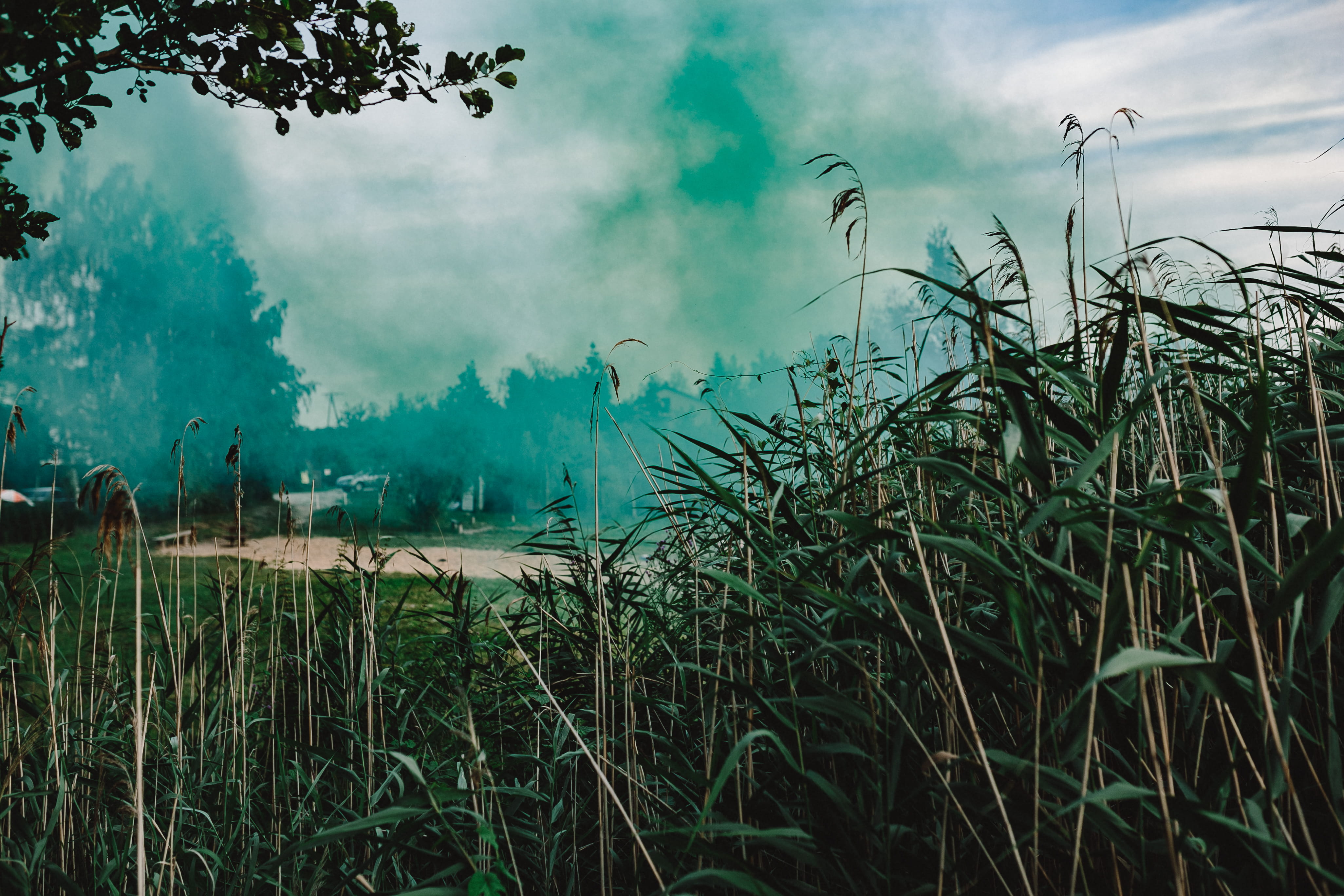 environment, plant, beauty In Nature, smoke, scenics, forest, rural Scene, background, tranquility, mountain, land, crop, sky, morning, abstract, landscape, HD Wallpaper