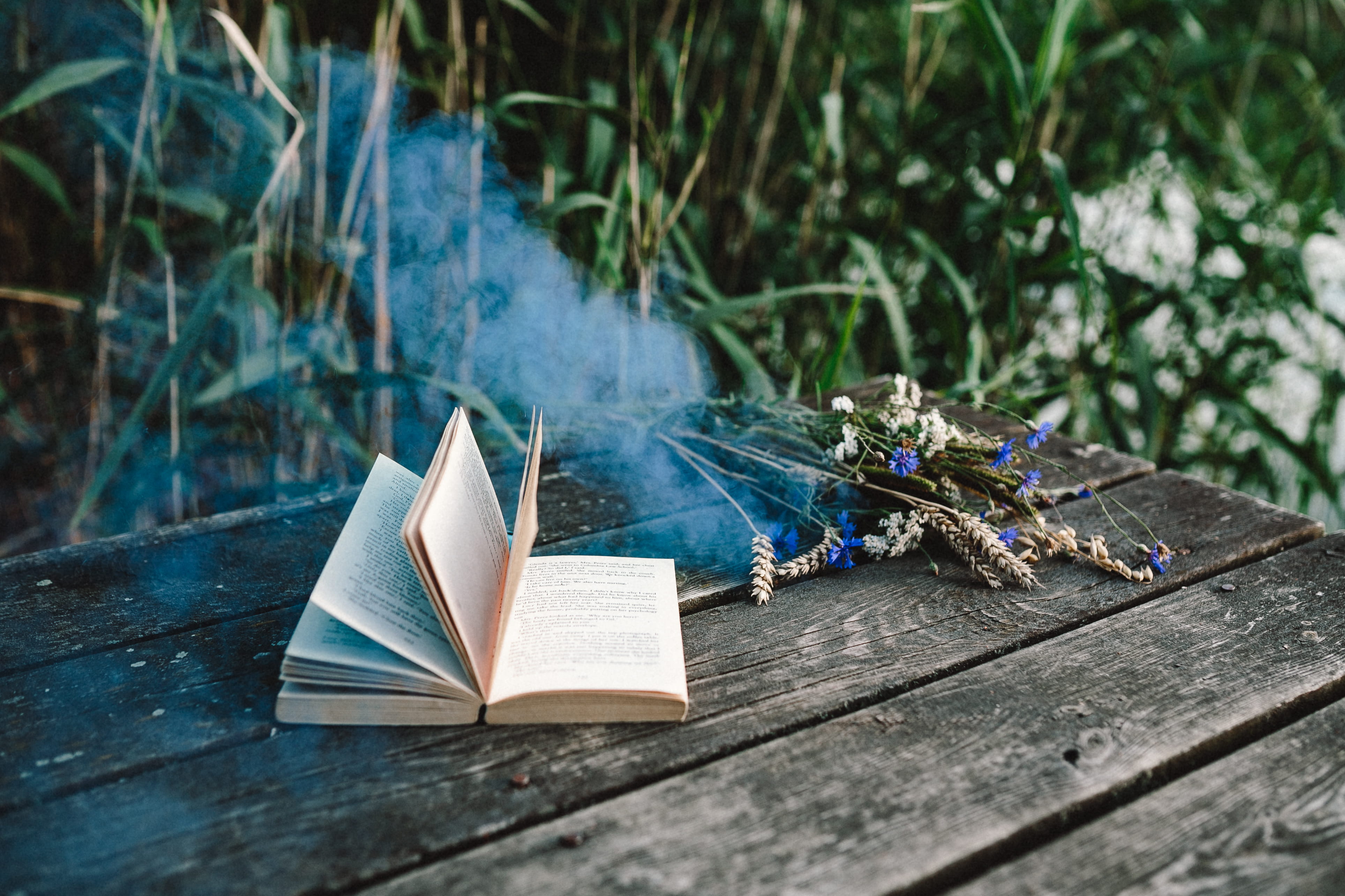 plant, outdoors, smoke, Colorful, flower, sunlight, nature, colorful smoke, page, wood - Material, literature, old-fashioned, focus on foreground, 4K, HD Wallpaper