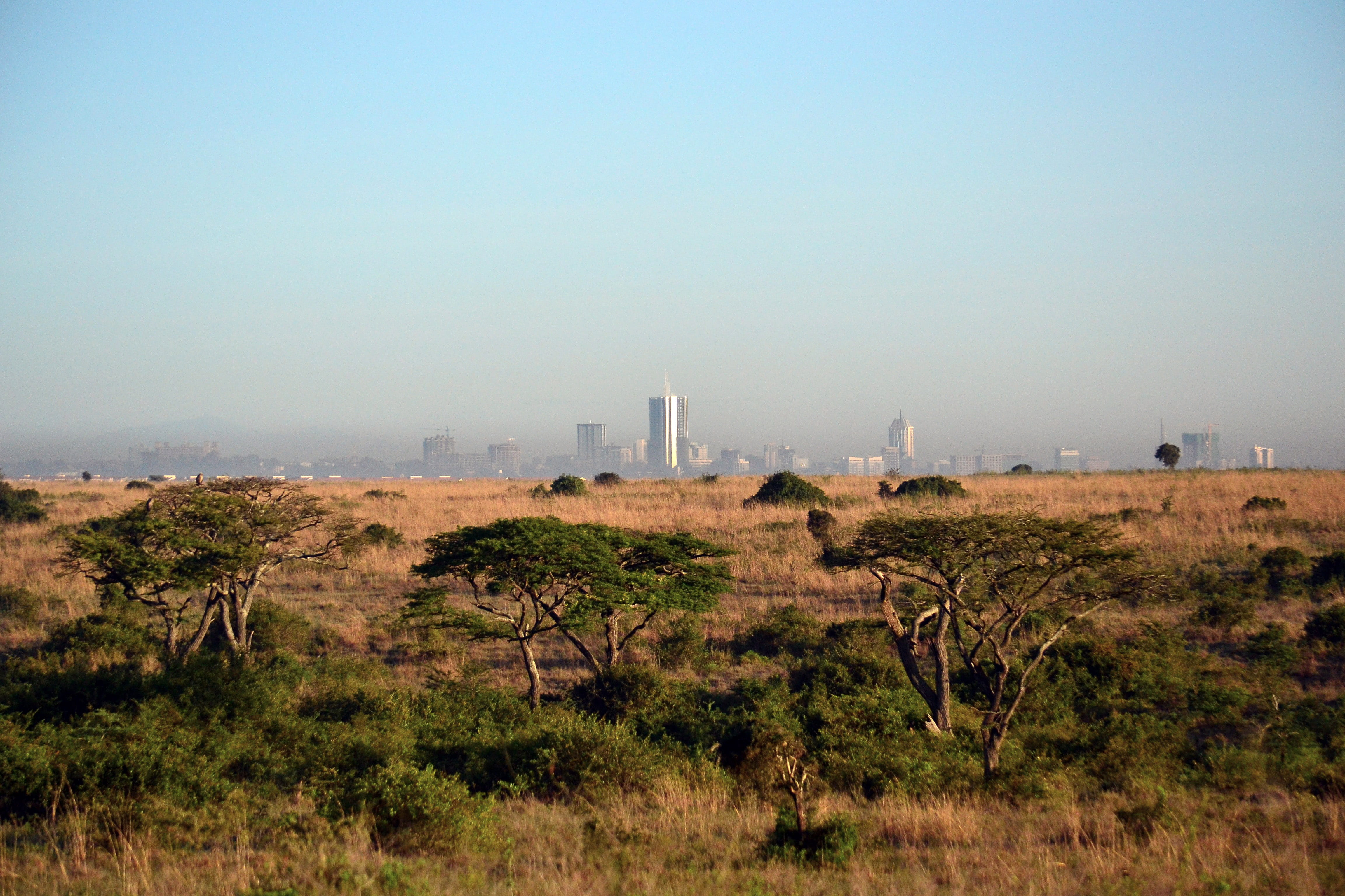 nature, non-urban scene, no people, Nairobi, Background, day, fuel and Power Generation, outdoors, skyline, environment, landscape, Game Preserve, tower, HD Wallpaper
