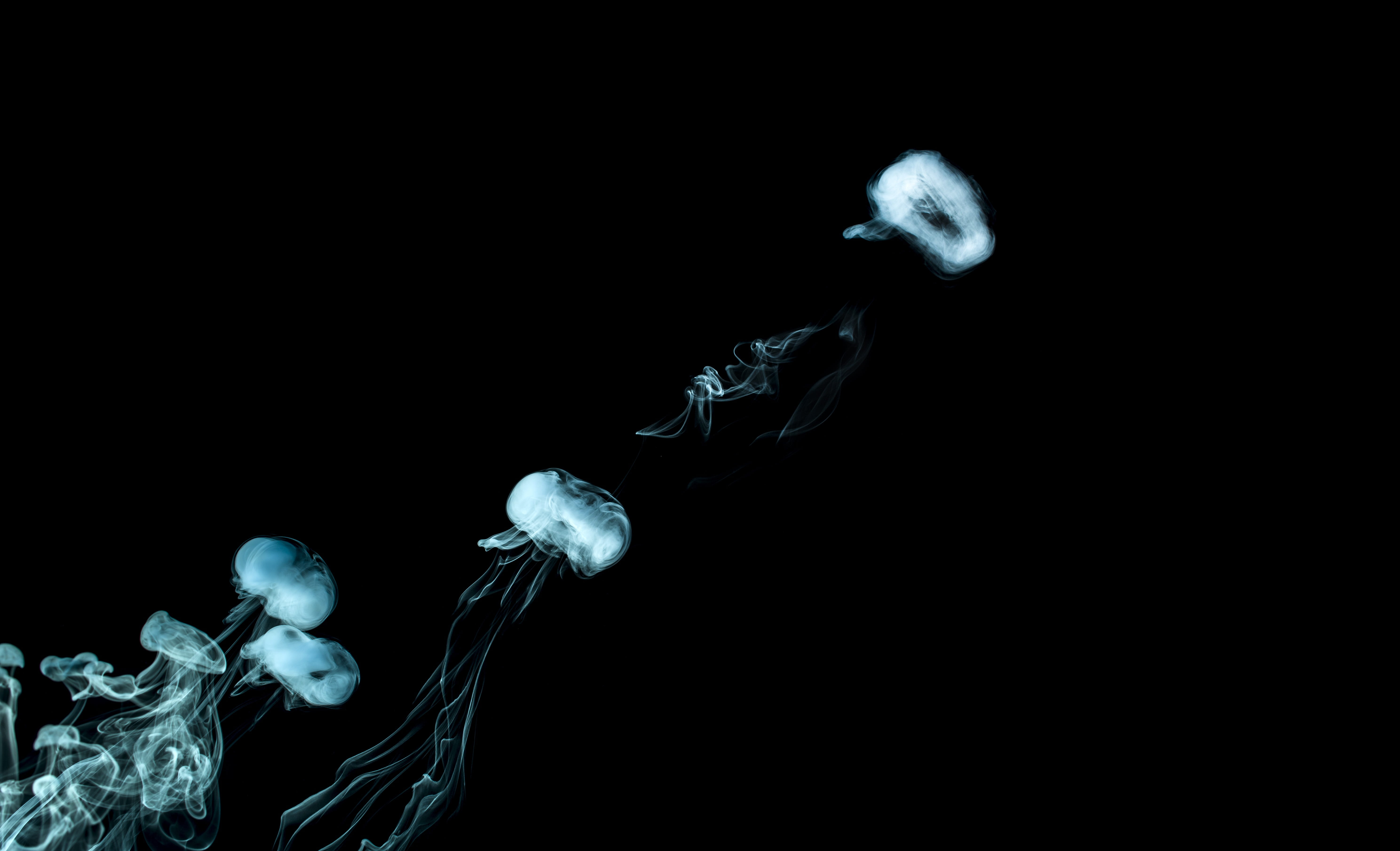 water, moving up, black background, pollution, Structure, smoke, cut out, sky, rings, 5K, white, changing form, structure, ethereal, nature, Abstract, HD Wallpaper