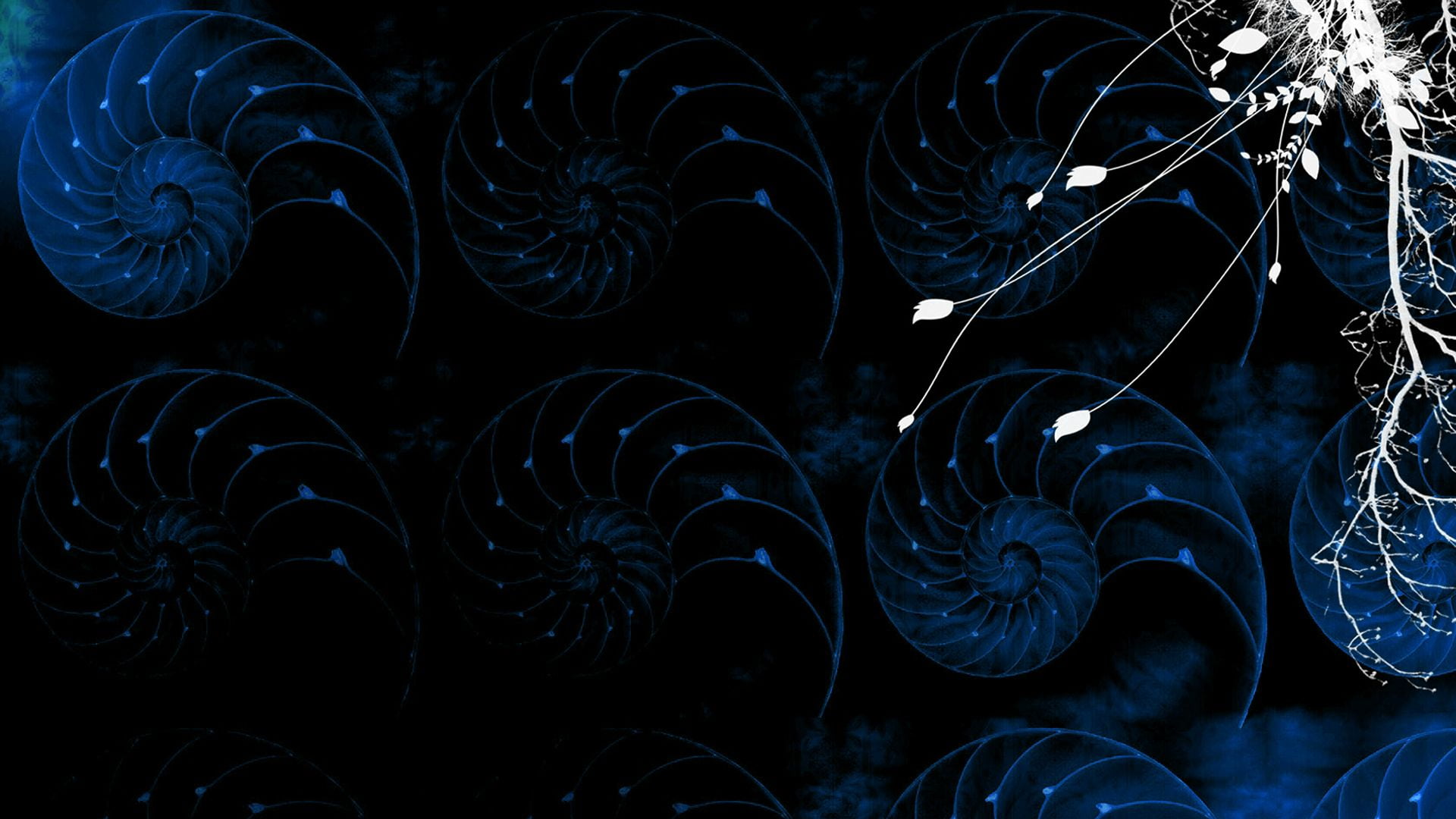 nature, arrangement, backdrop, curve, artistic, close-up, light, fractal, swirl, symbol, graphic, futuristic, colors, 1080P, space, digital, HD Wallpaper