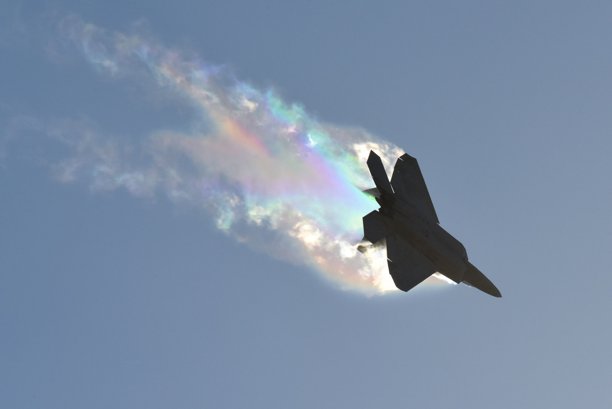 nature, beauty in nature, sky, animal wildlife, Lockheed Martin F-22 Raptor, animals in the wild, animal themes, mid-air, no people, one animal, flying, HD Wallpaper