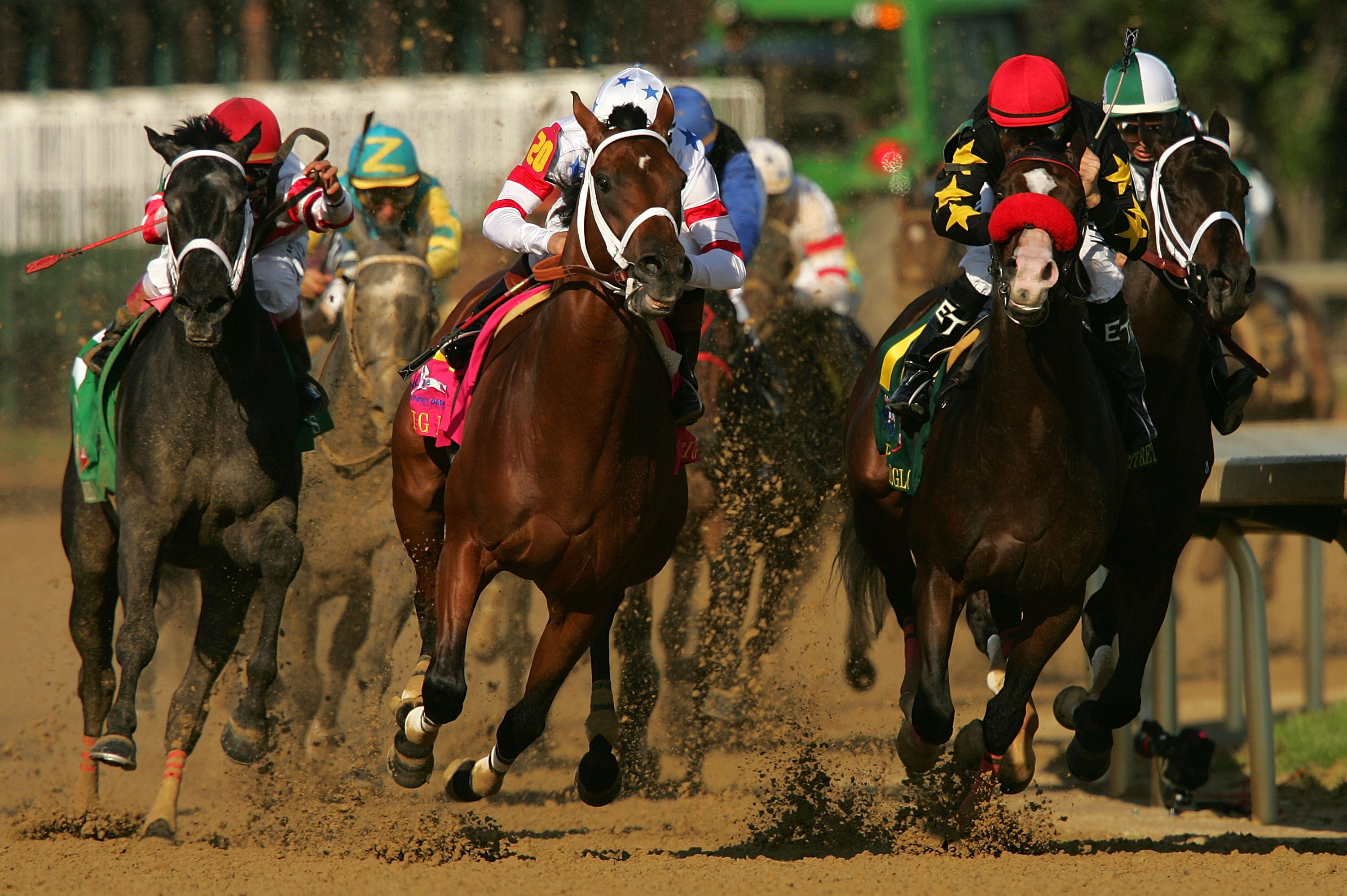 real people, activity, sport, horseback riding, flat Racing, animal wildlife, excitement, 2K, mammal, outdoors, horse, thoroughbred Horse, dominating fashion, HD Wallpaper