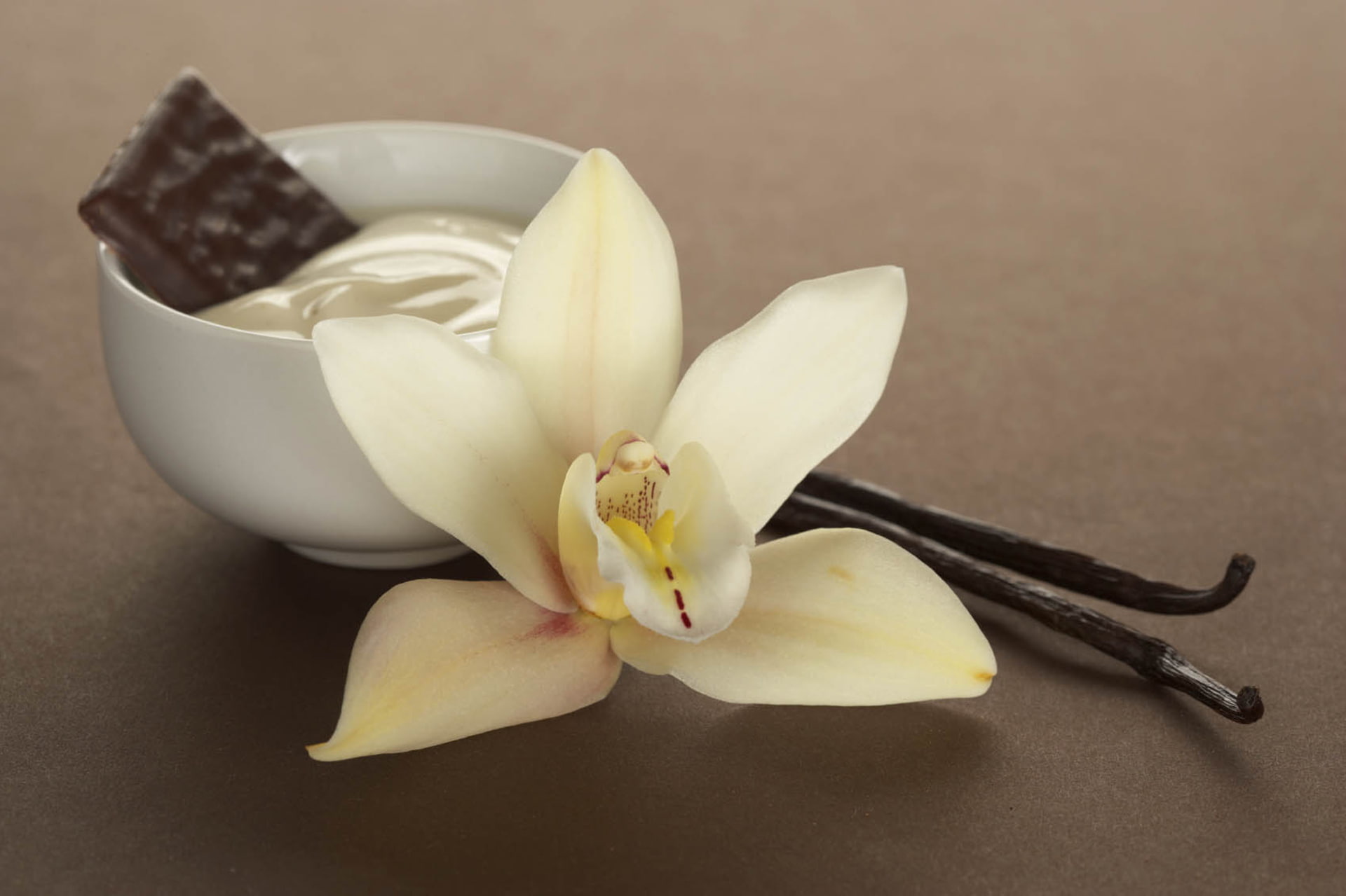 flower, orchid, sticks, pollen, freshness, aroma, flowering plant, vanilla, white color, inflorescence, plant, white, indoors, flower head, fragility, beauty in nature, HD Wallpaper