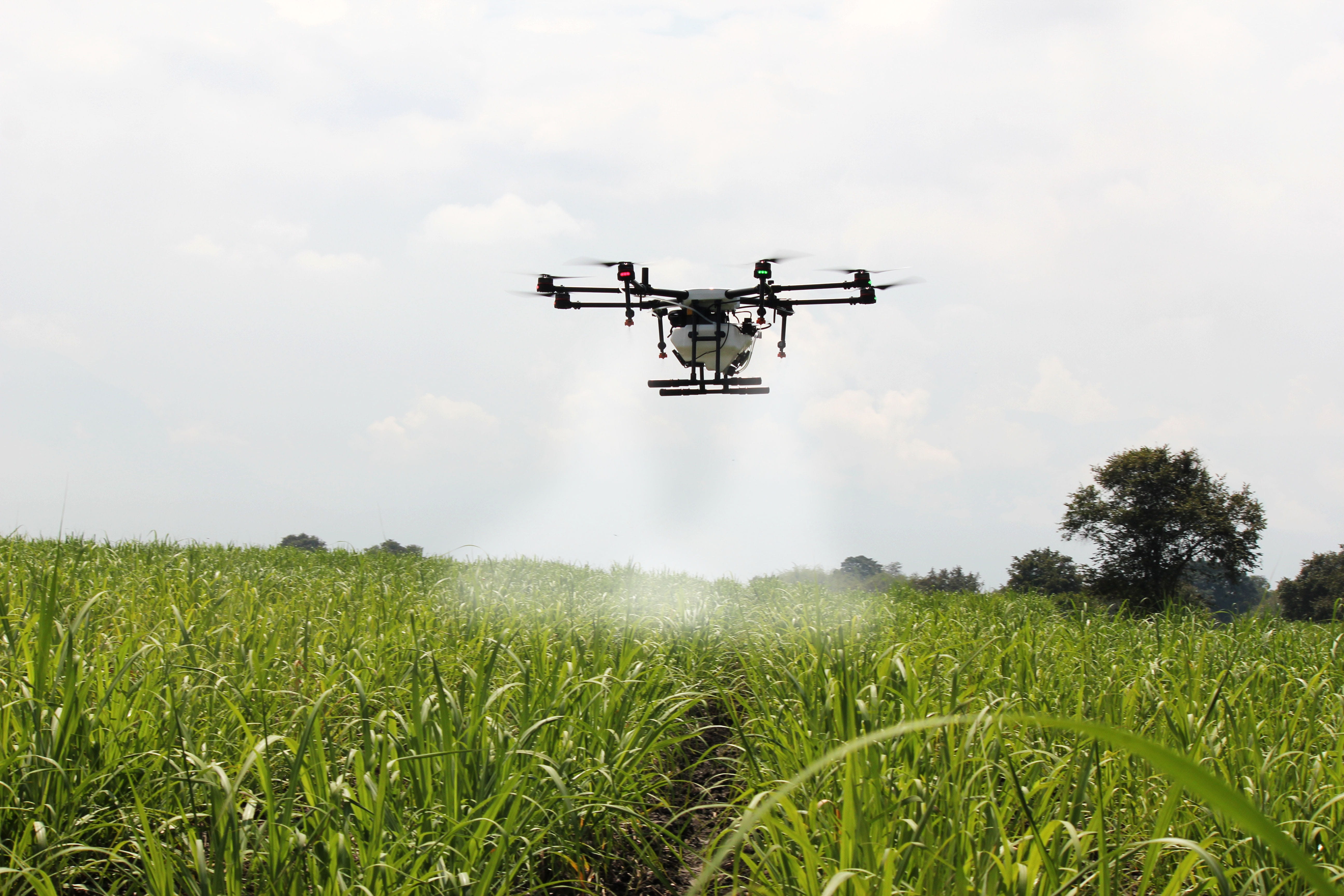 landscape, day, sky, growth, spray, air vehicle, drone asperjando, drone farm, fumigation, green color, sugar cane, land, grass, cloud - sky, mode of transportation, HD Wallpaper