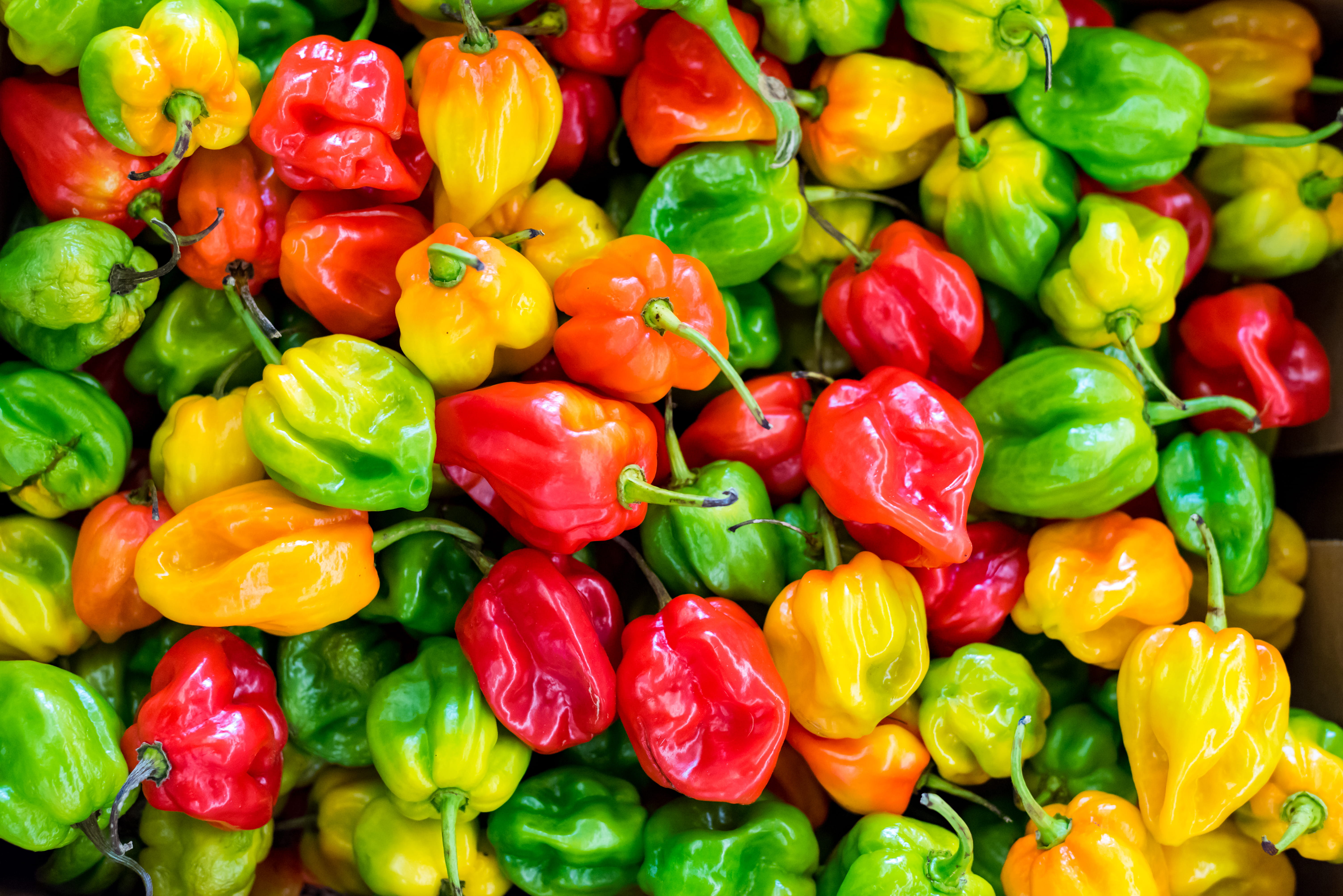 close-up, backgrounds, multi colored, variation, paprika, retail, colorful, full frame, ingredients, 5K, large group of objects, food, choice, food and drink, HD Wallpaper