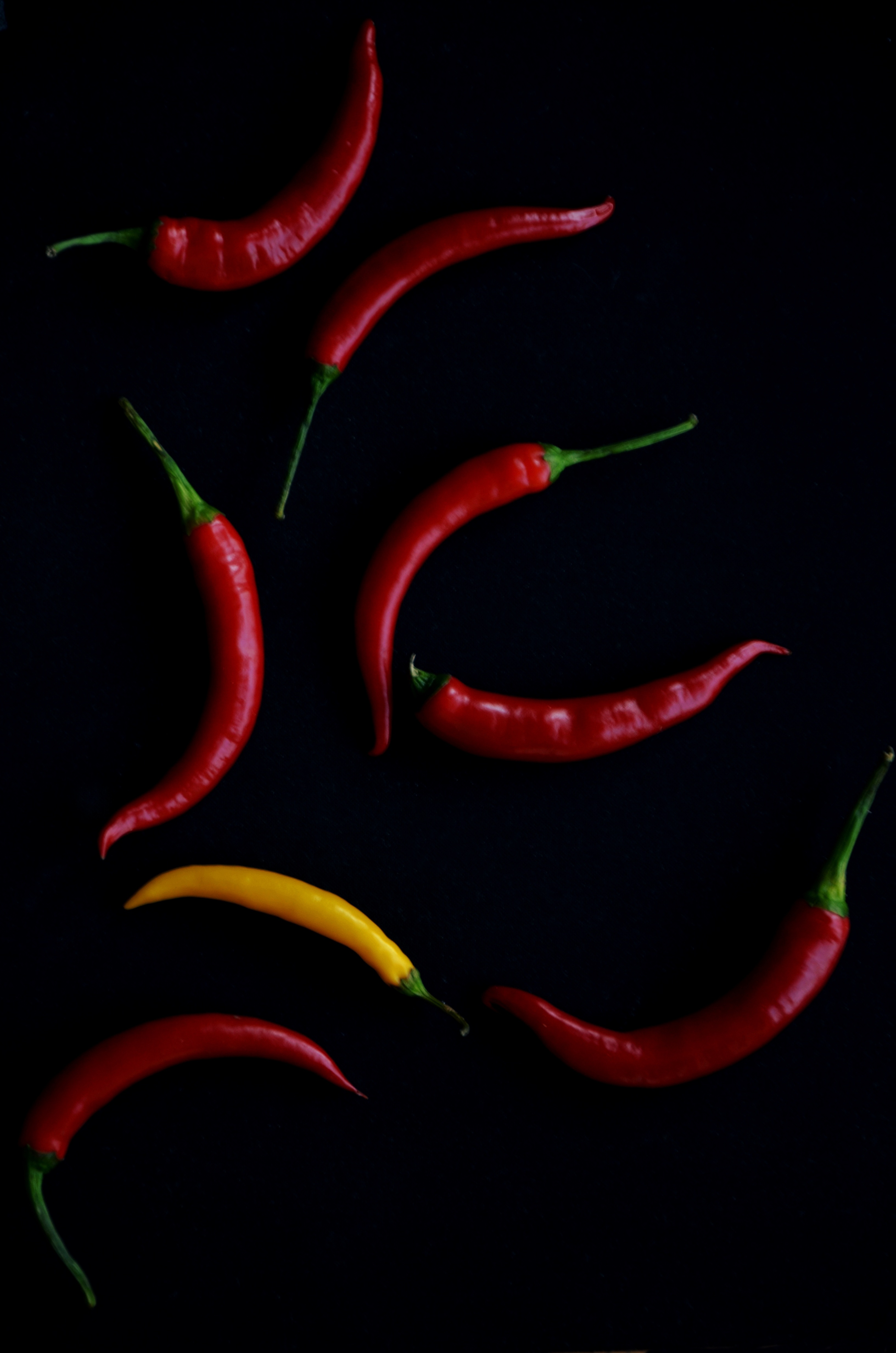 studio shot, still life, mexican, healthy, red, 4K, peppers, organic, chili pepper, spice, close-up, food and drink, plant stem, ingredient, cayenne, no people, Phone HD Wallpaper