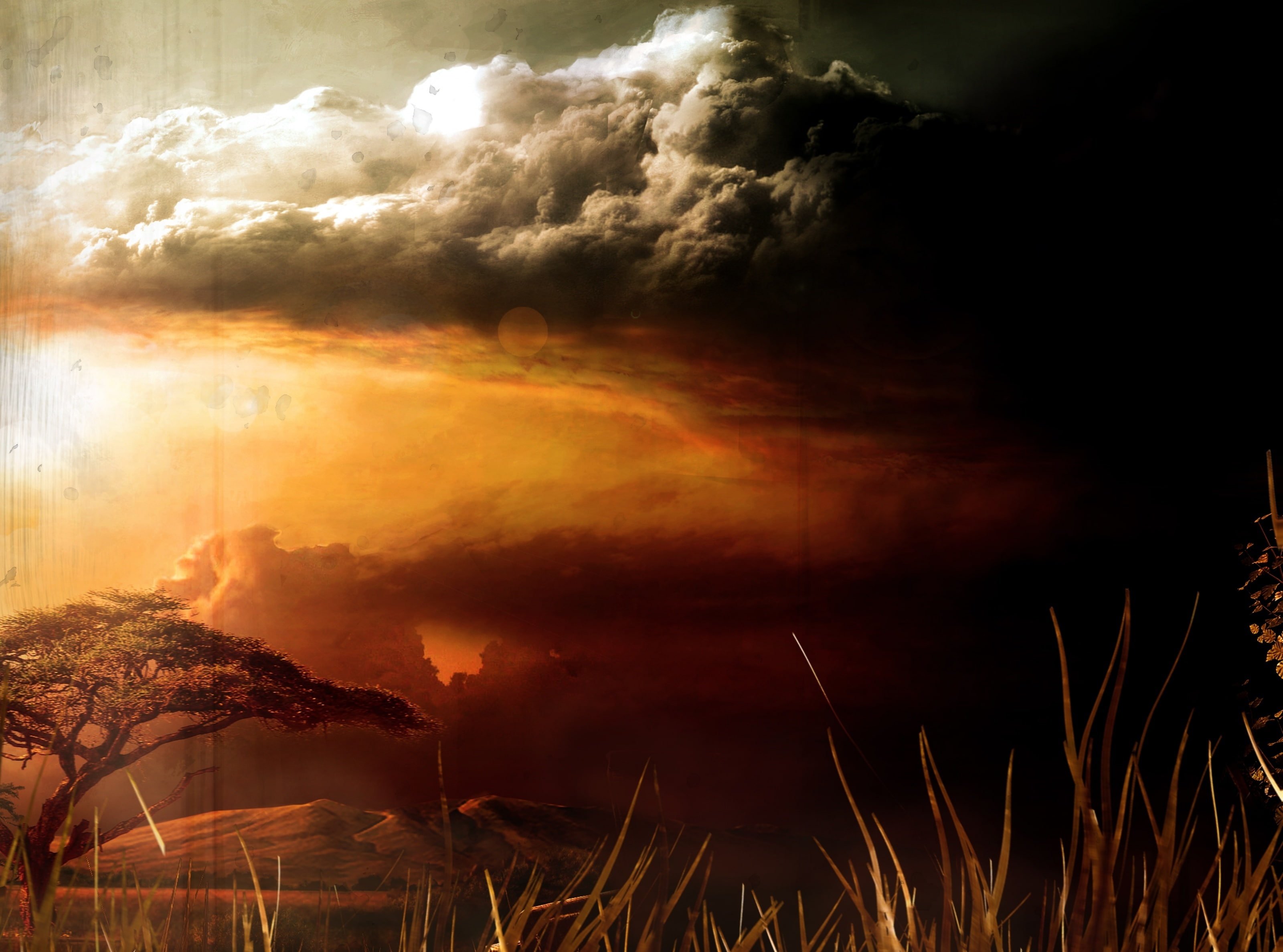dramatic sky, beauty in nature, tranquility, golden, scenics - nature, sunlight, storm cloud, Dark, tranquil scene, silhouette, orange color, power in nature, HD Wallpaper