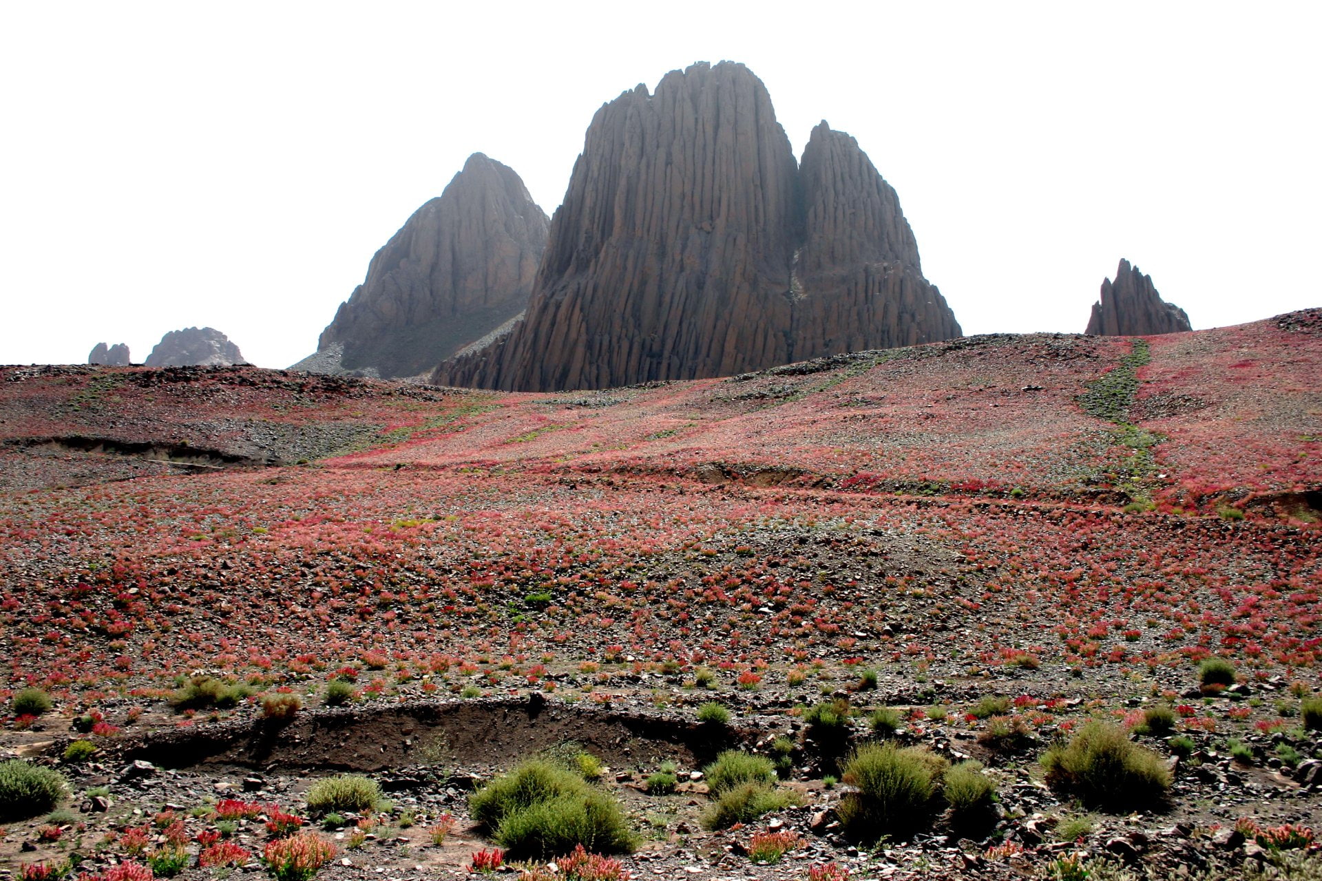 Tassili NAjjer, 1080P, Landscape, Algeria, Africa, Desert, Rock, Sahara, Earth, Hoggar Mountains, Stone, HD Wallpaper