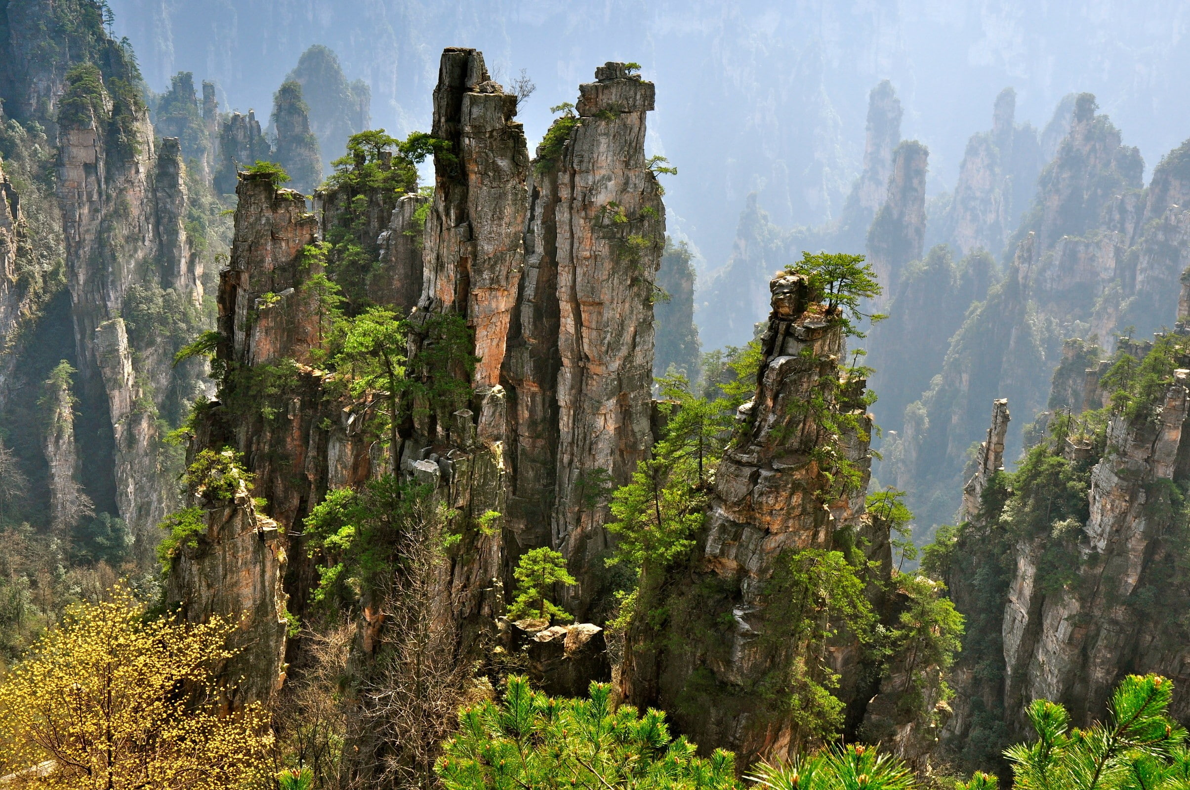 nature, cliff, trees, 1080P, rock formation, landscape, HD Wallpaper