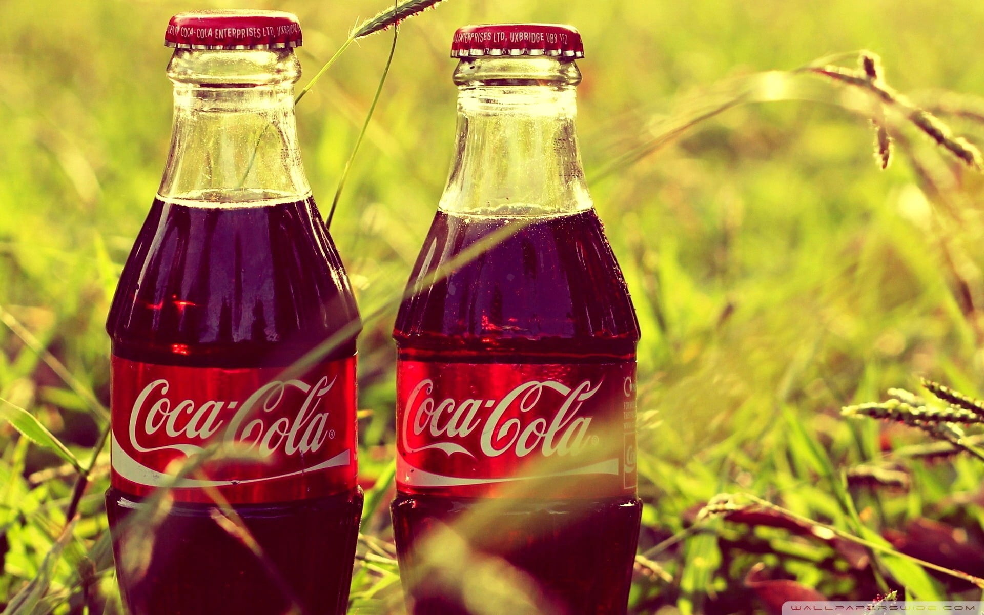 container, food, food and drink, jar, transparent, homemade, red, bottle, plant, grass, cola, day, refreshment, focus on foreground, 1080P, nature, non-alcoholic beverage, HD Wallpaper