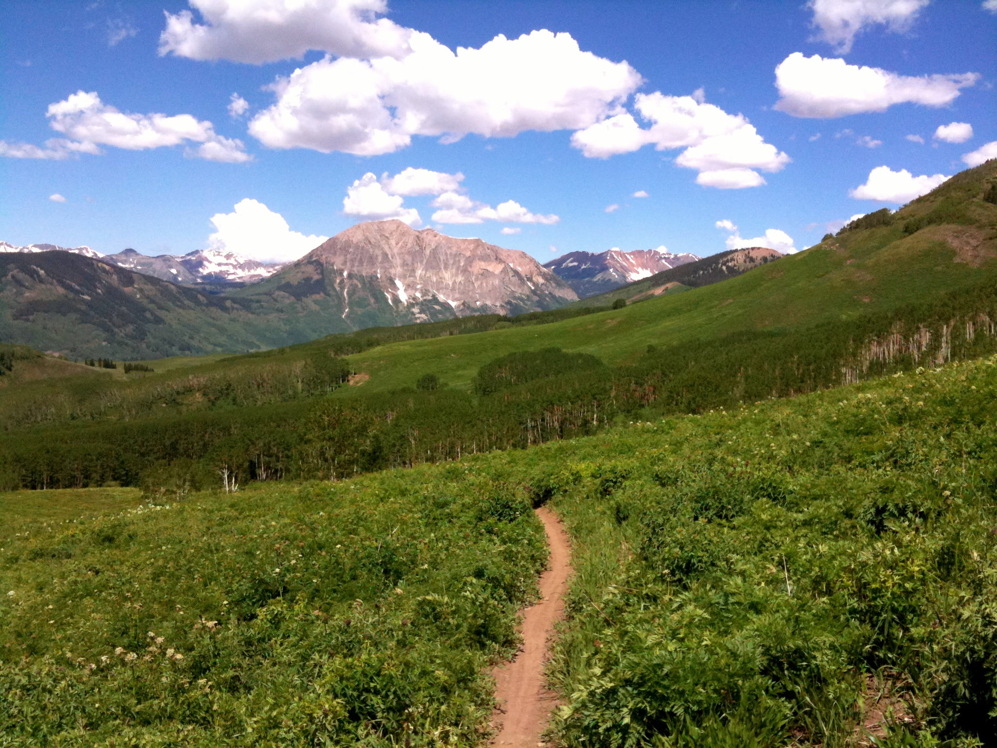 scenics, outdoors, green, meadow, mountain bike, landscape, mountain, crested butte  Colorado, forest, CO, crested, grass field, 1080P, Deer Creek Trail, HD Wallpaper