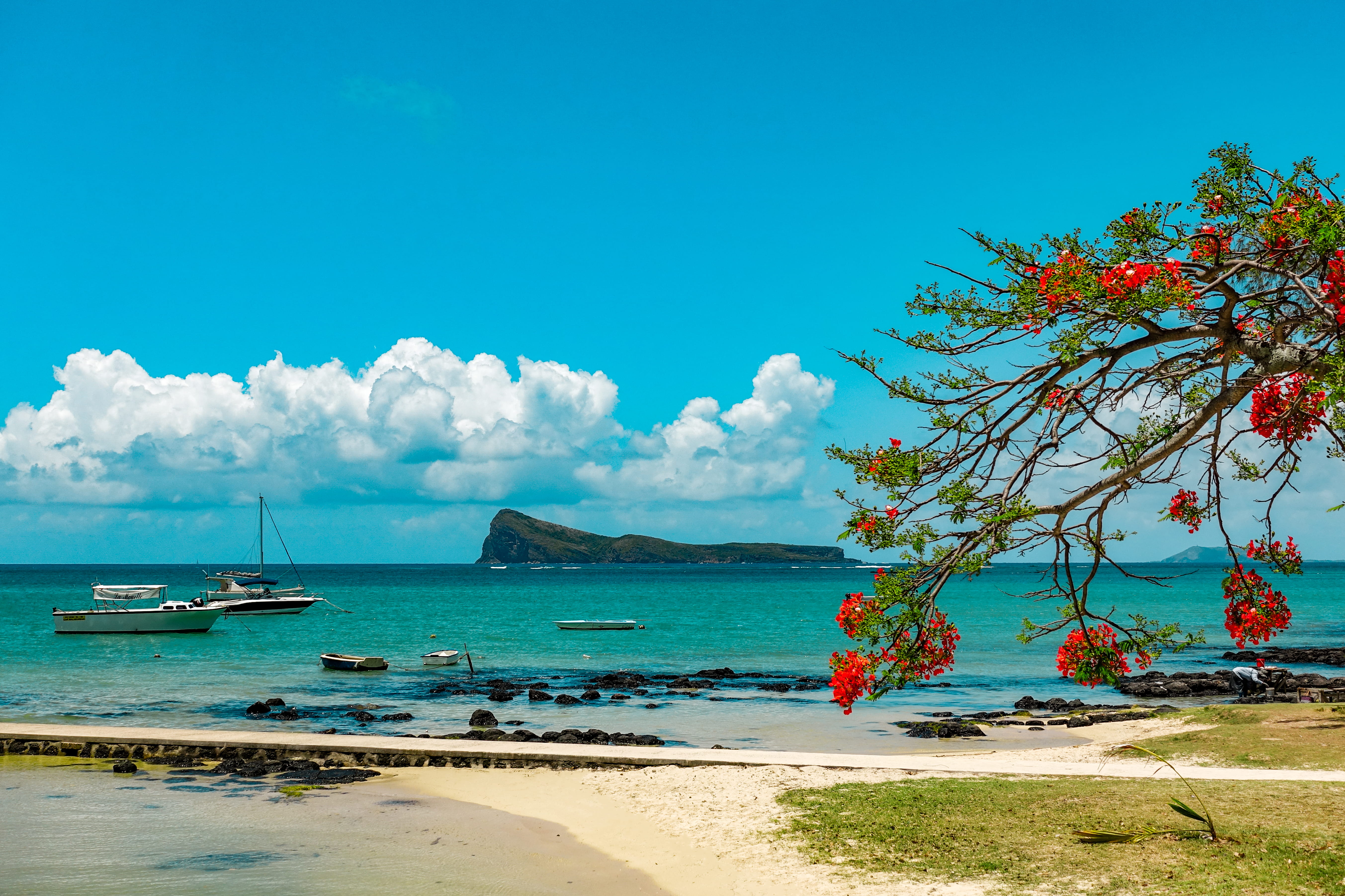 red, day, transportation, sky, plant, tranquility, nautical vessel, sea, beauty in nature, mauritius, tranquil scene, beach, land, ocean, 5K, mode of transportation, HD Wallpaper