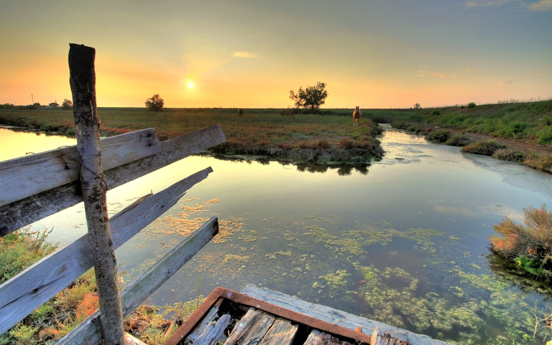 river, water, nature, landscape, wood, field, 1080P, fence, algae, HD Wallpaper