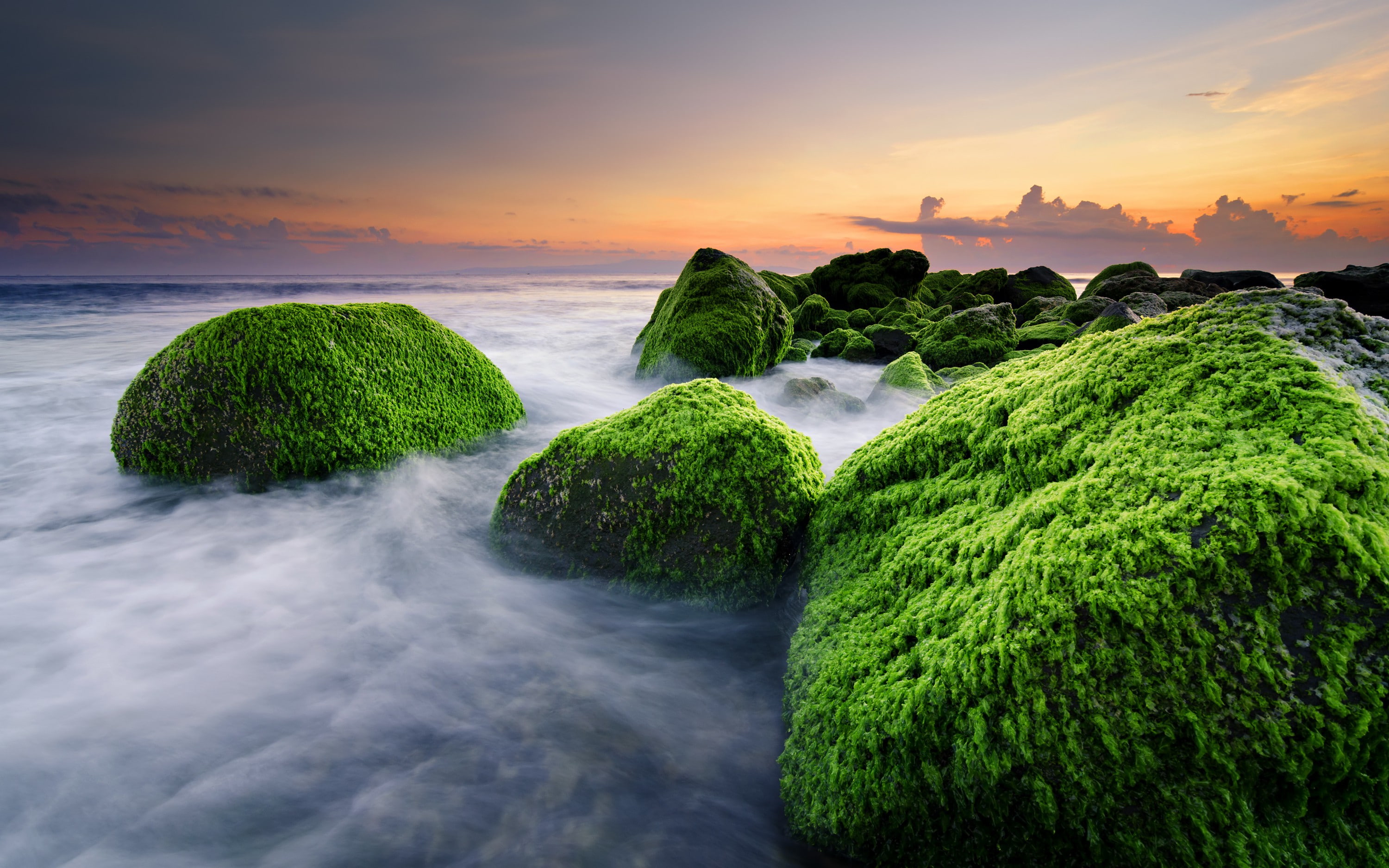 masceti, Bali, Masceti Beach, Indonesia, rocks, Ketewel, 2K, ocean algae, beach, HD Wallpaper
