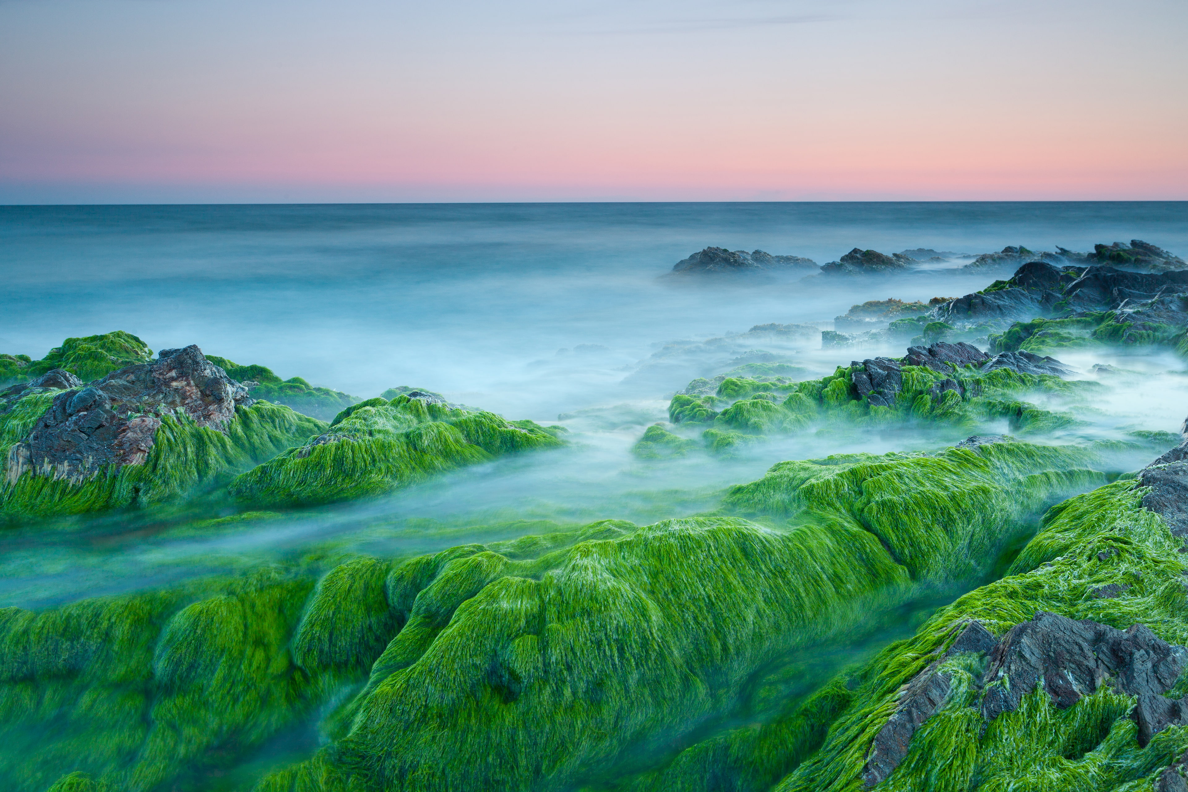 Stones, Sea, 4K, Sunset, 4K, Algae, HD Wallpaper