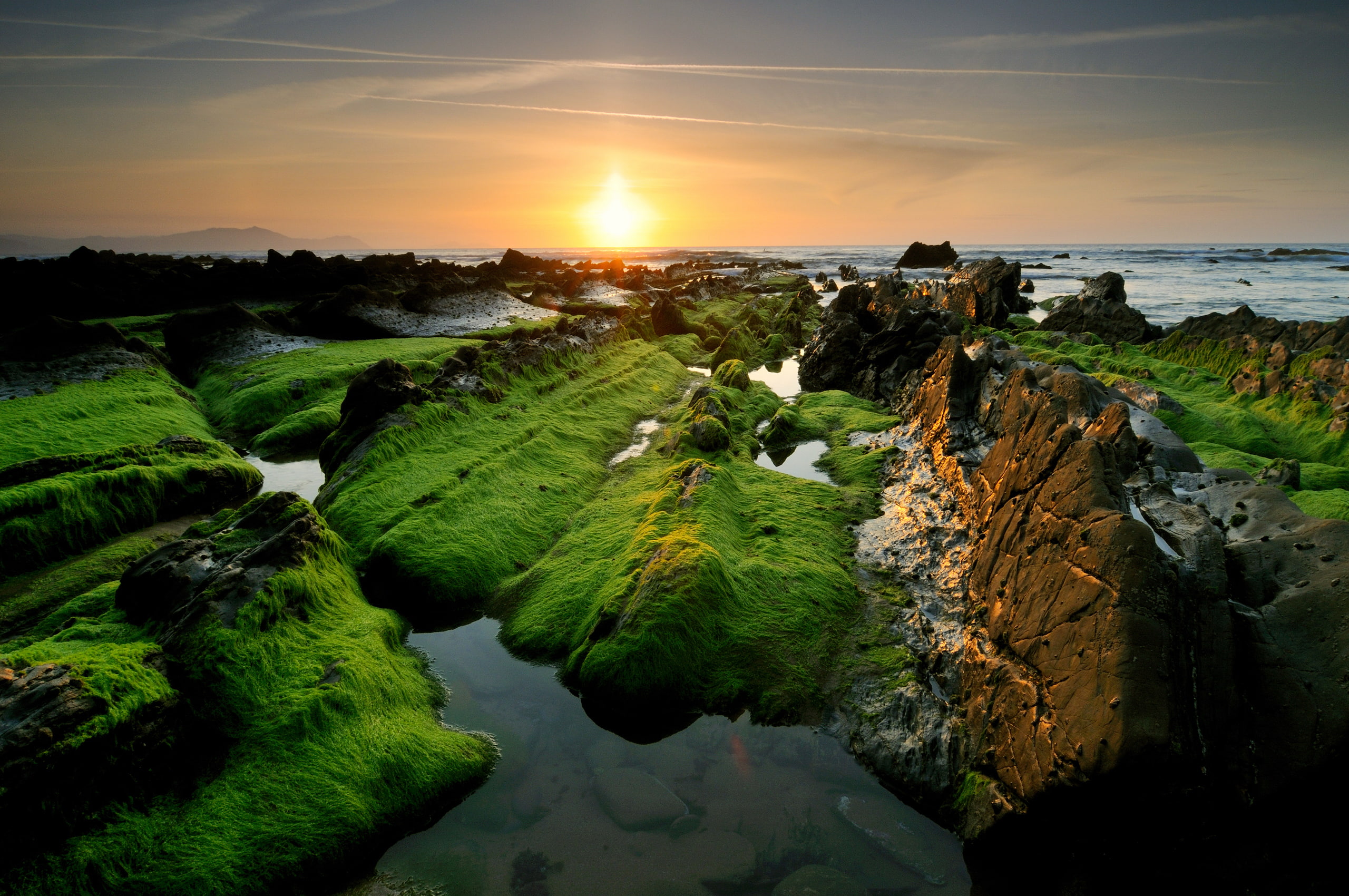 Sunset, Rocks, Green Algae, 2K, HD Wallpaper